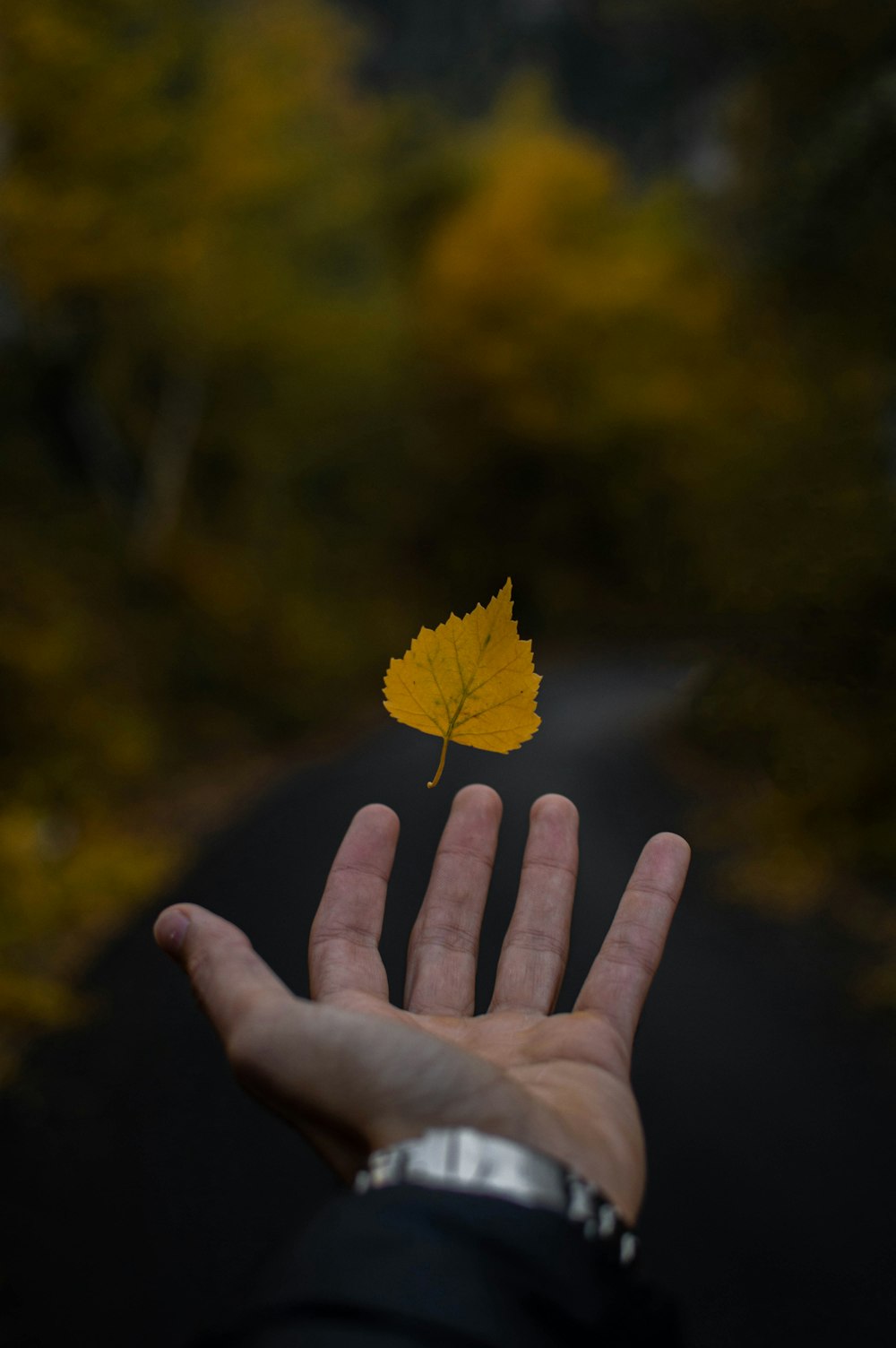 a hand holding a yellow flower