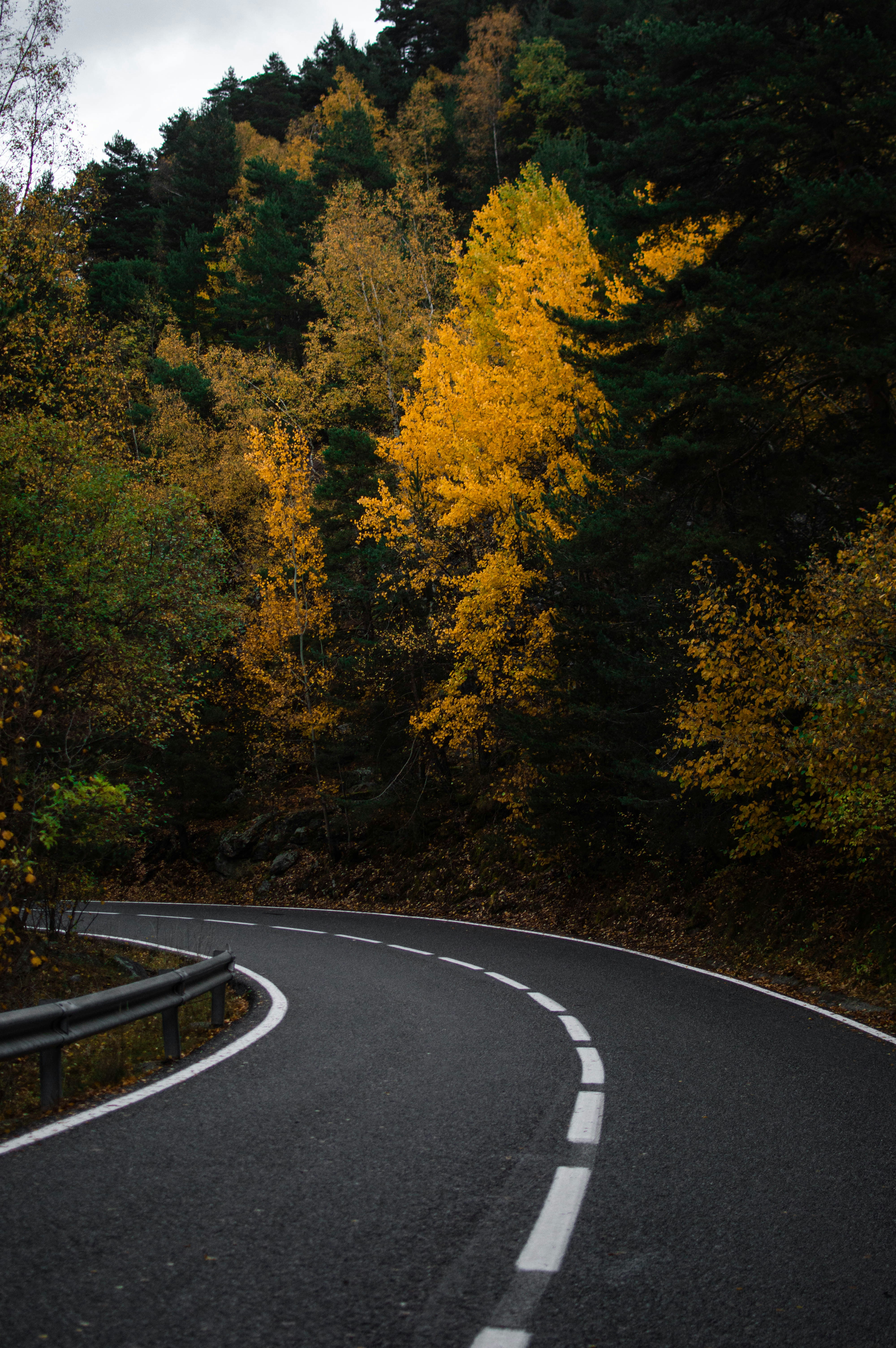 Photo by asr_optical