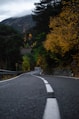a road with trees on the side