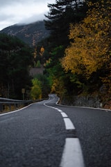 a road with trees on the side