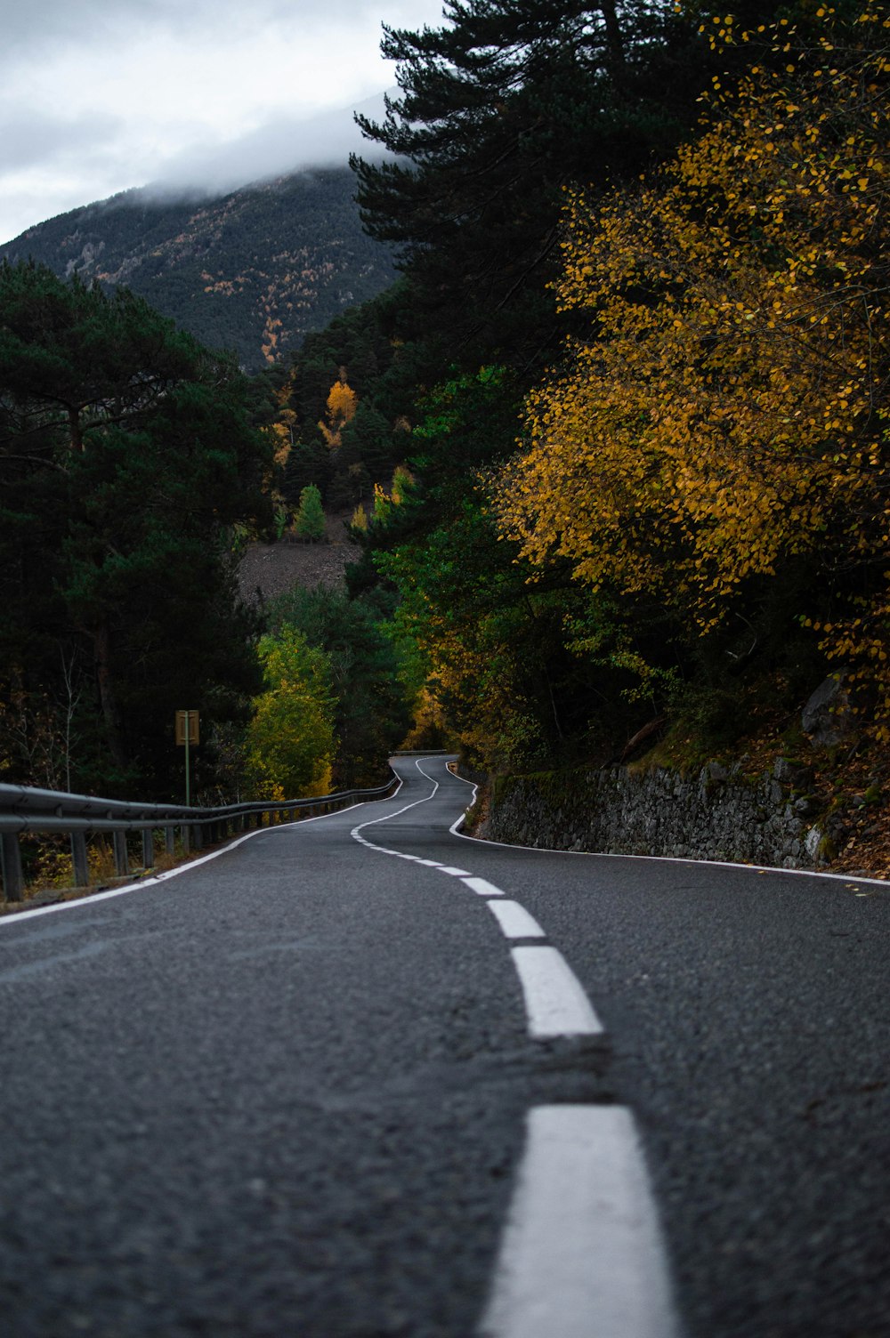 a road with trees on the side