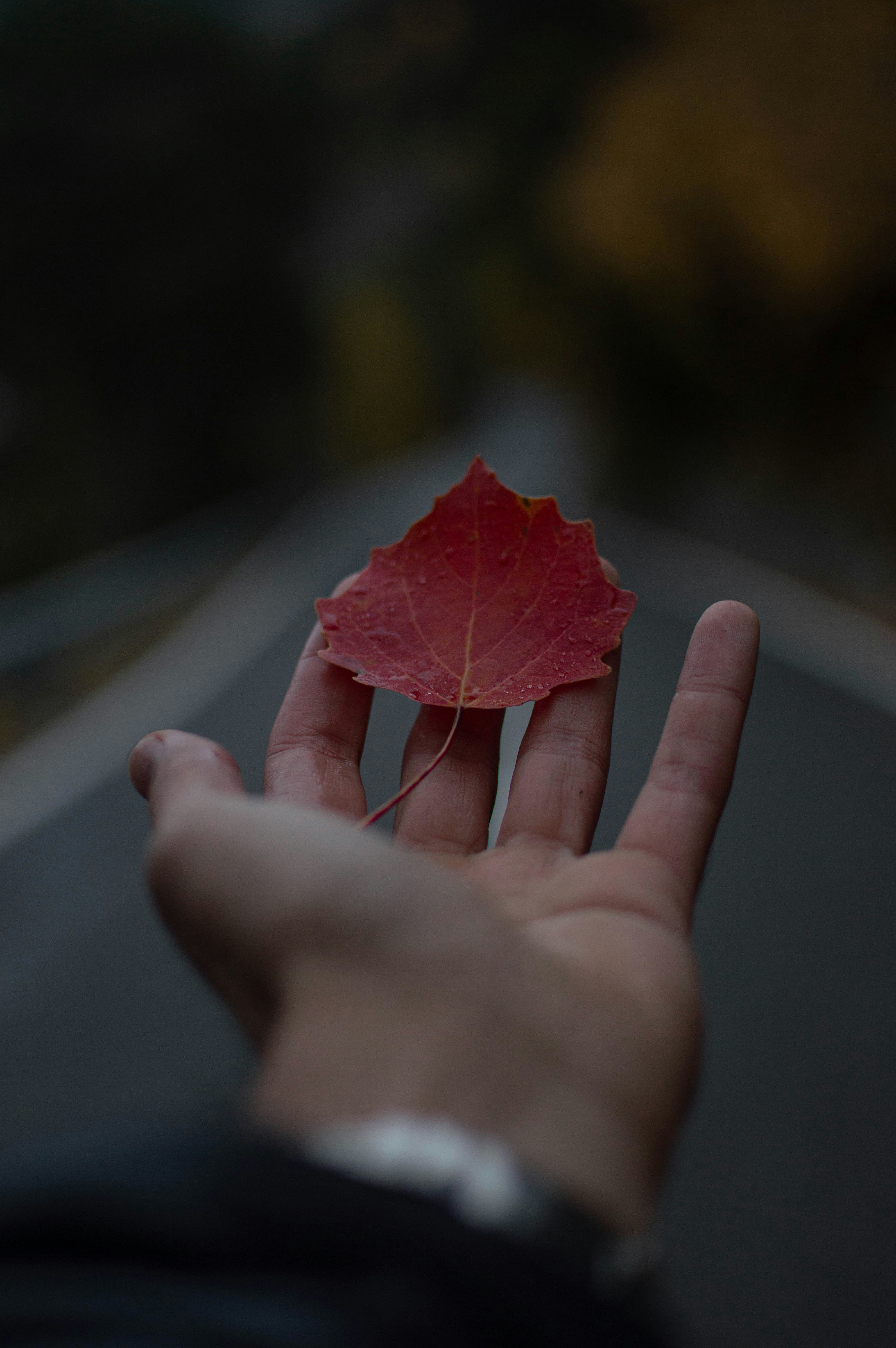 hand