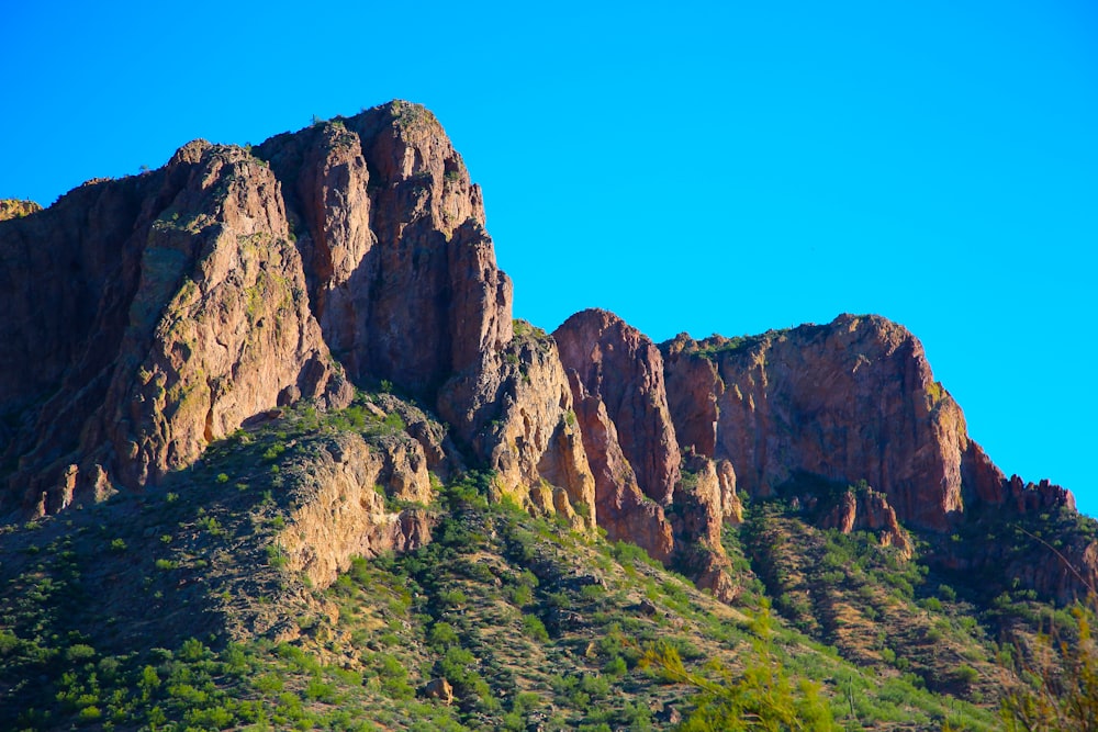 a rocky mountain with green plants