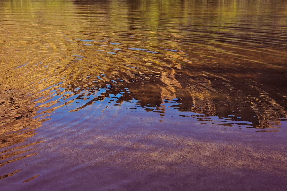 a body of water with a reflection of a building in it