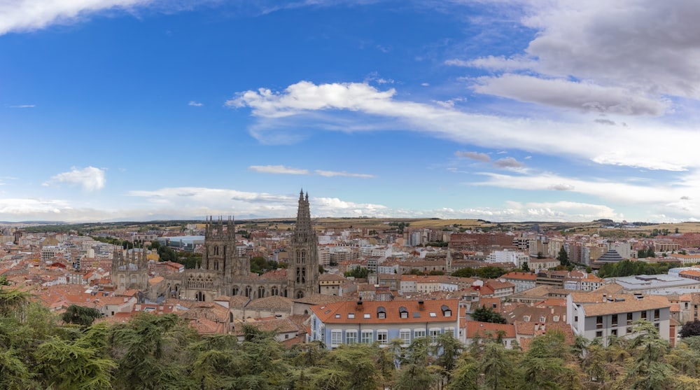 a city with trees and buildings