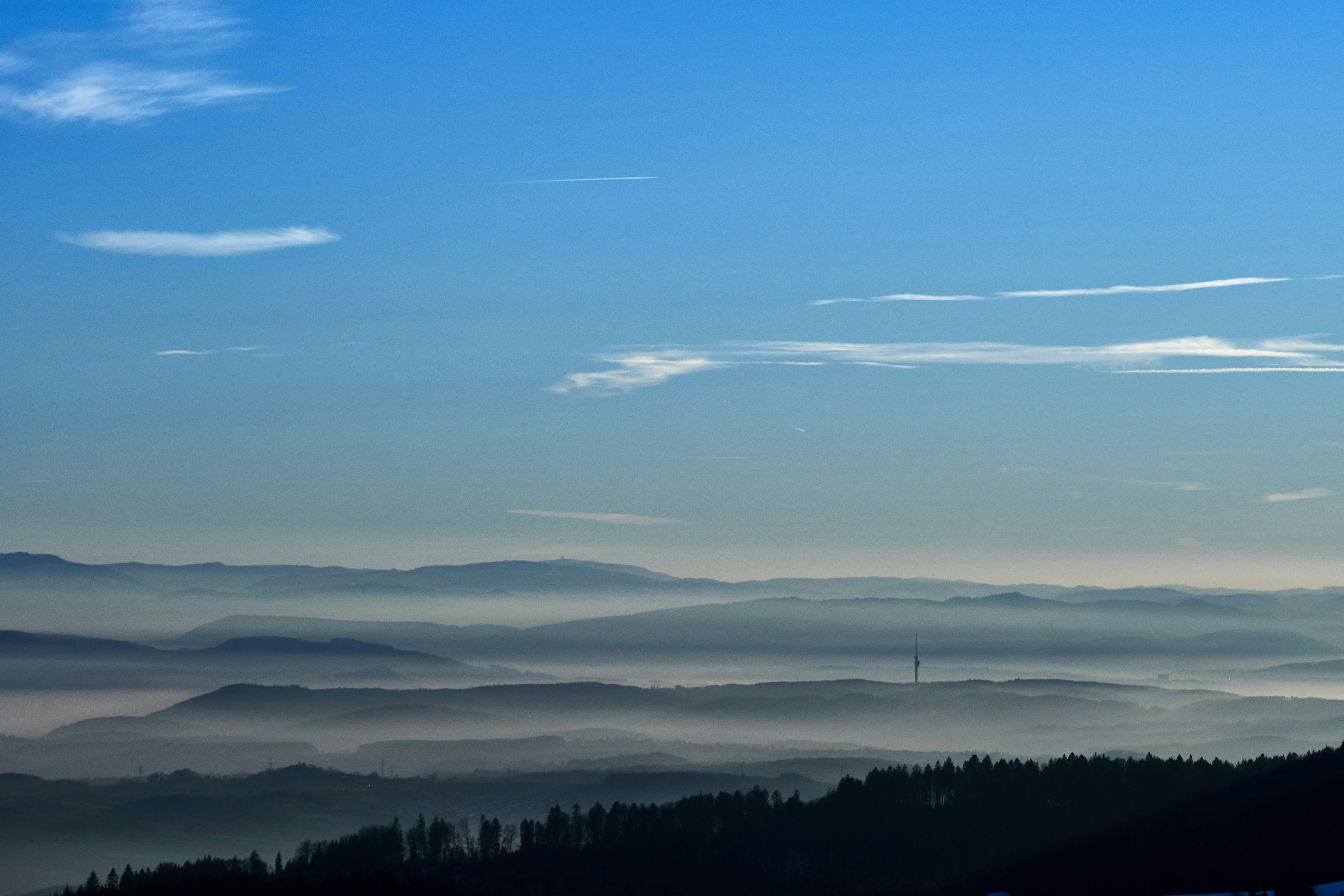 Photo by wolfgang_hasselmann