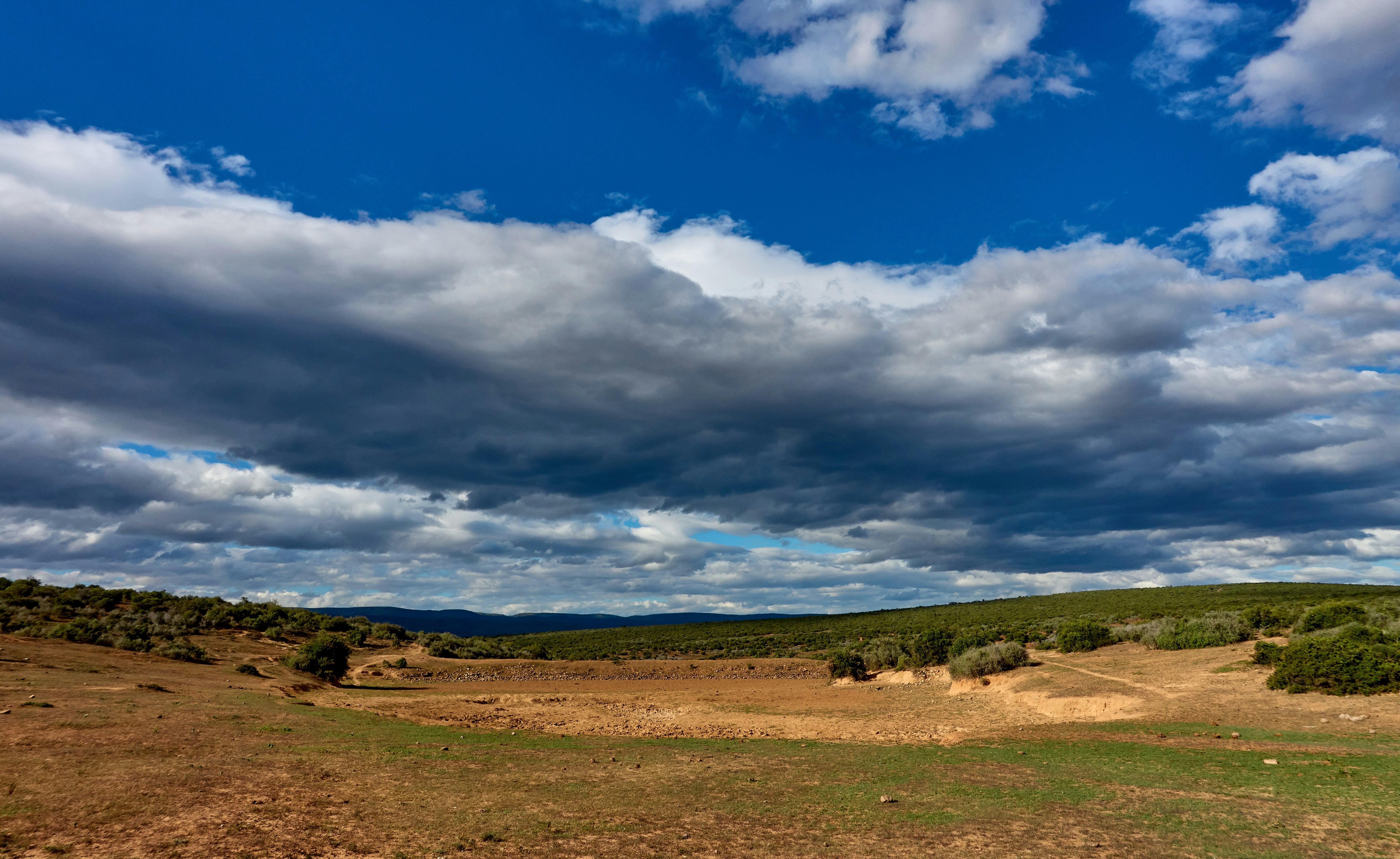 Photo by wolfgang_hasselmann