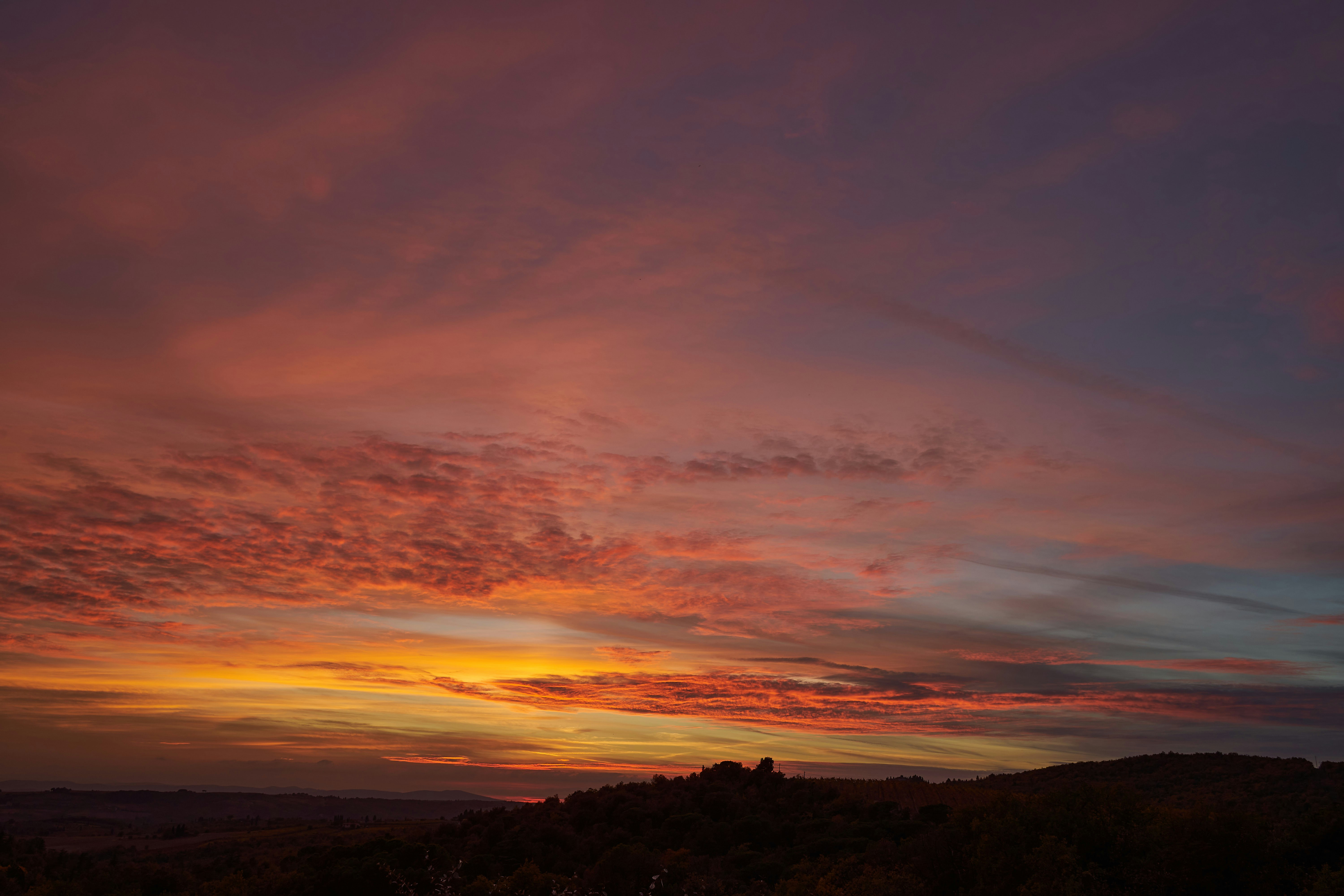 Photo by wolfgang_hasselmann