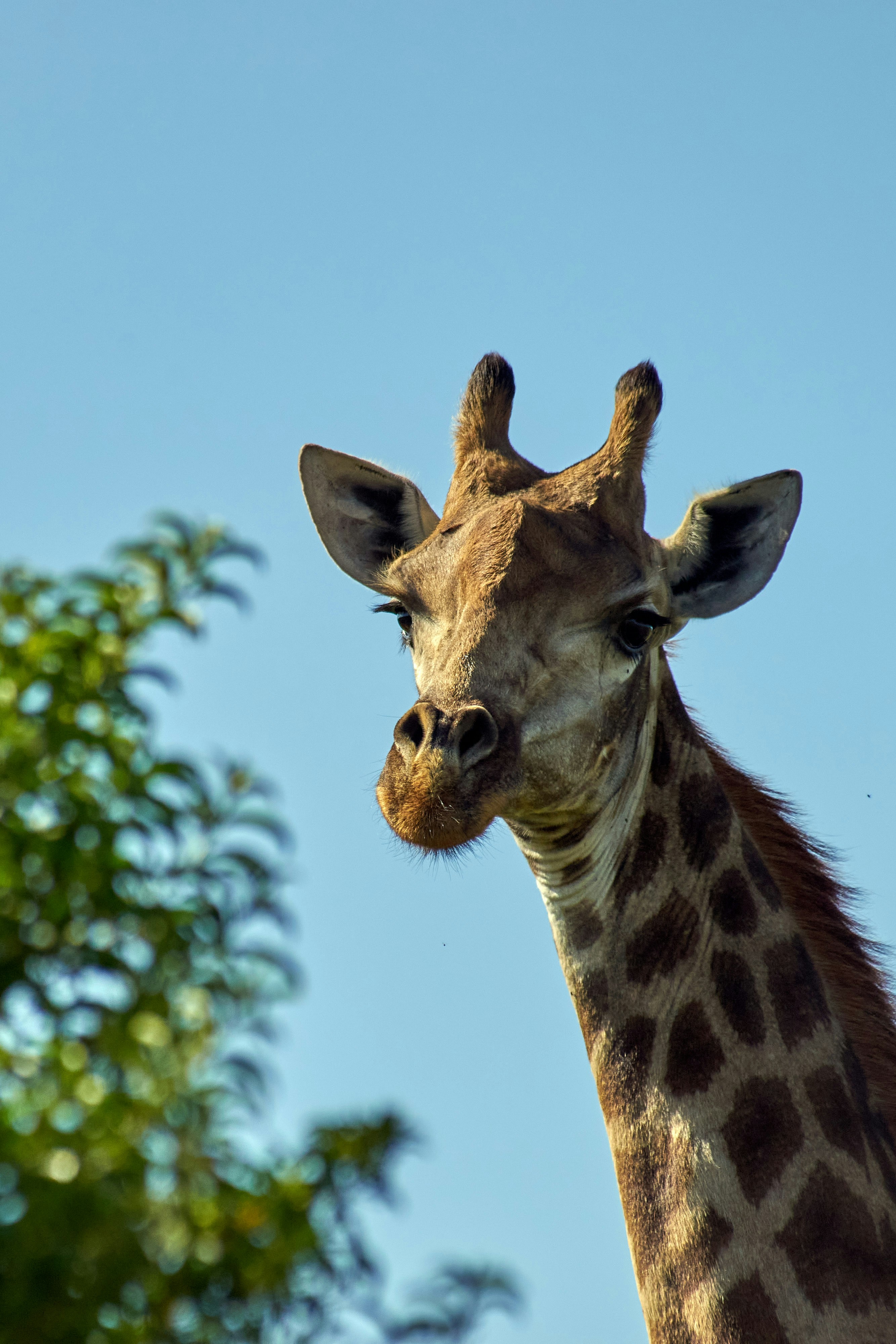 Photo by wolfgang_hasselmann