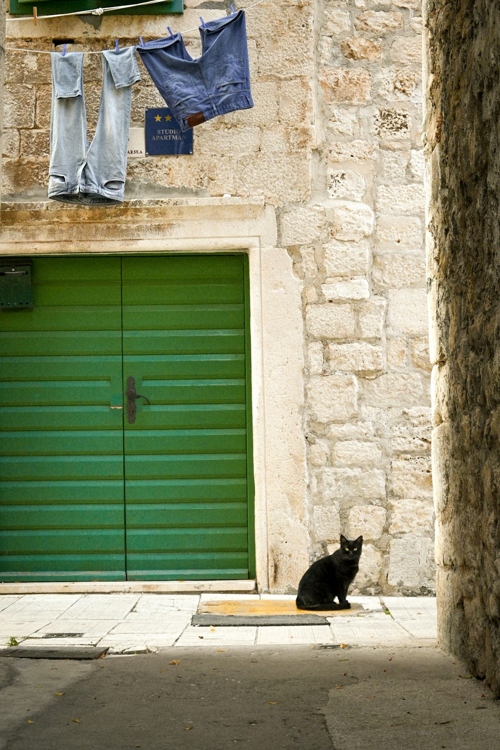 a cat sitting outside a building