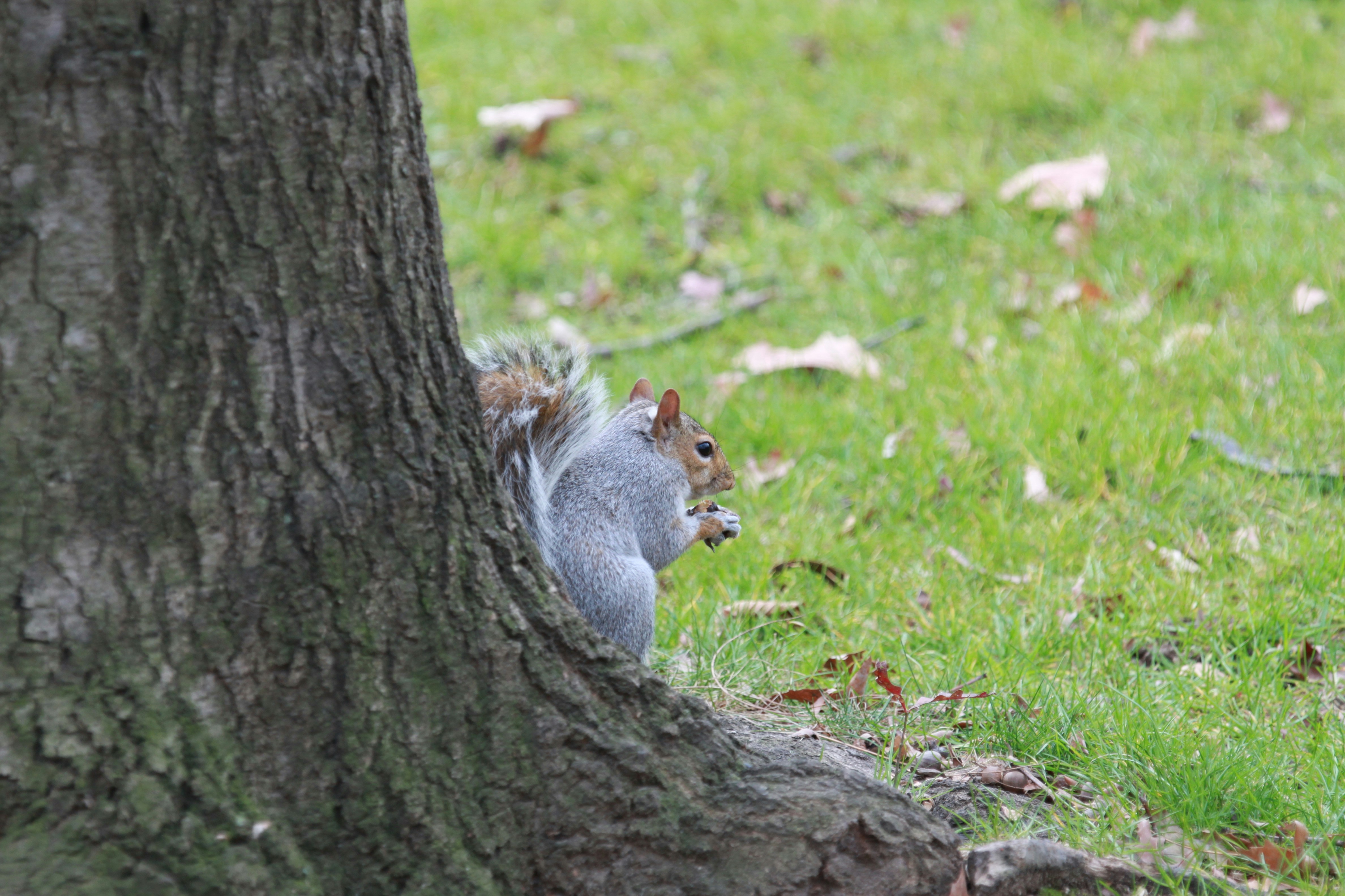 Photo by packetdiscards