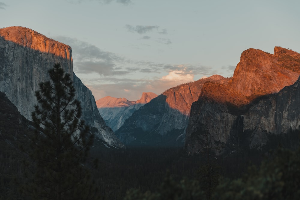 a mountain range with trees