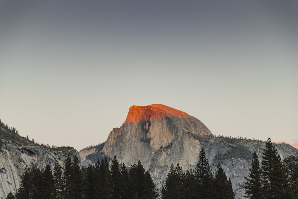 a snowy mountain with trees