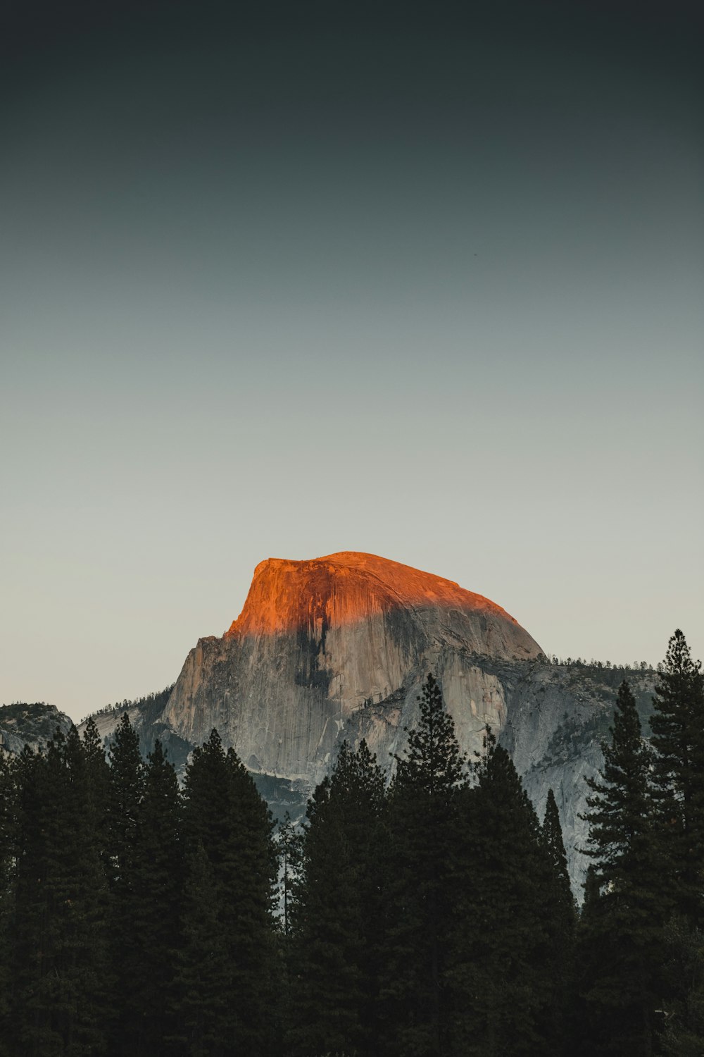 a mountain with trees below