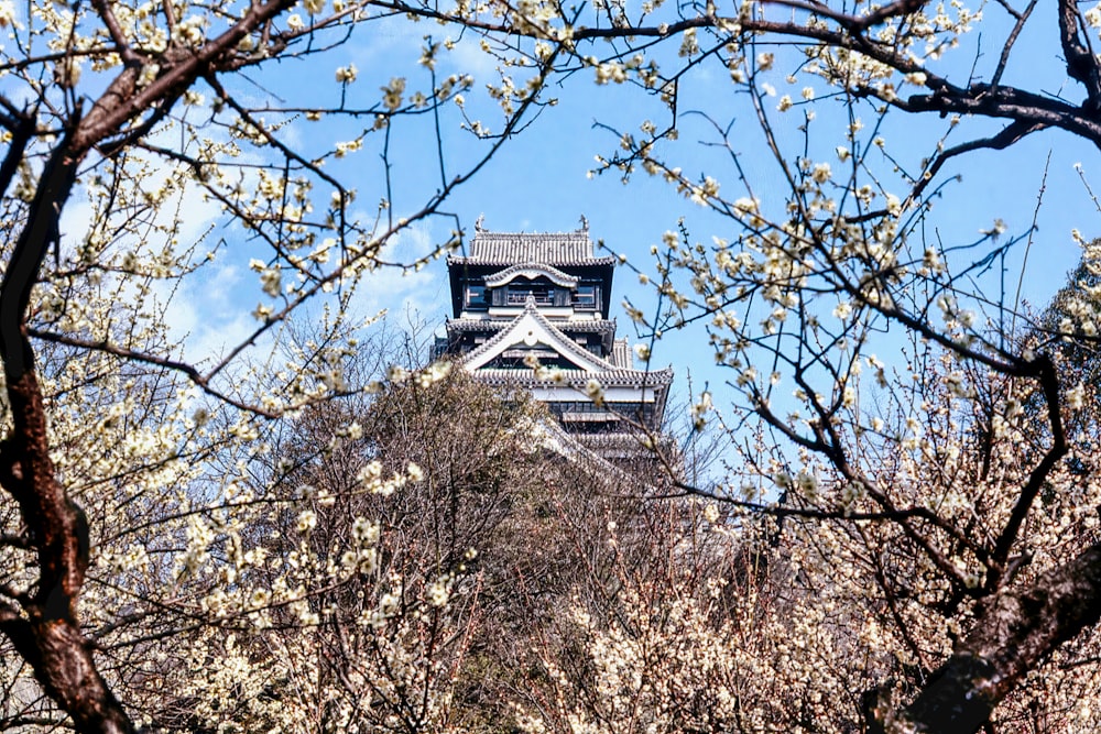 a building with a tower behind trees