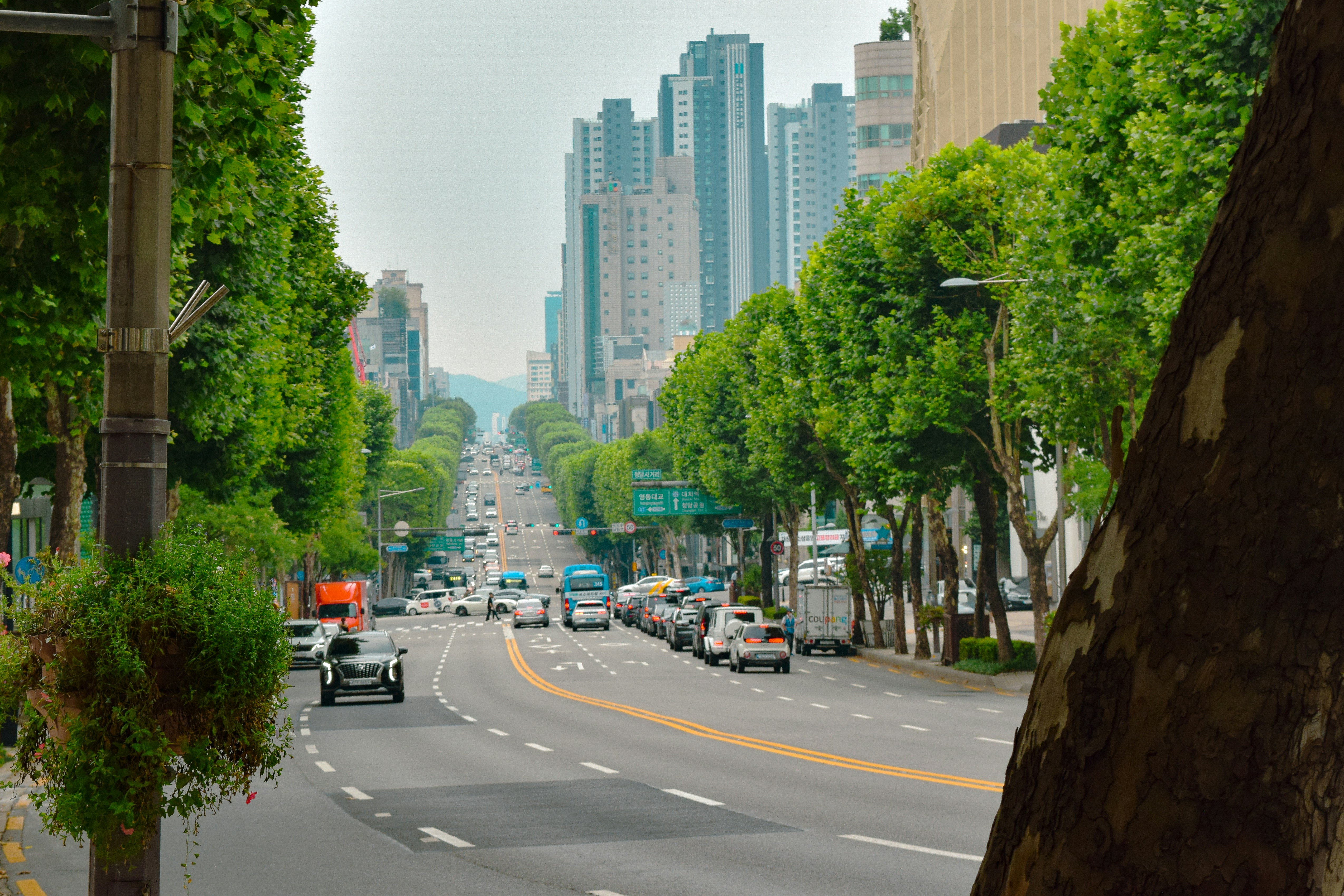a street with cars and trees on the side, 