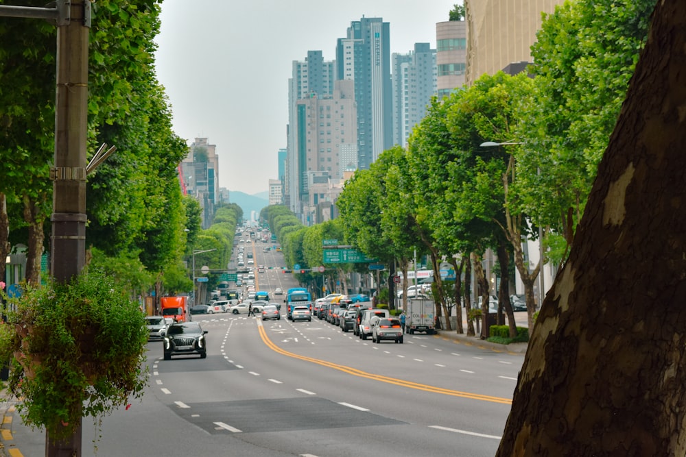 a street with cars and trees on the side