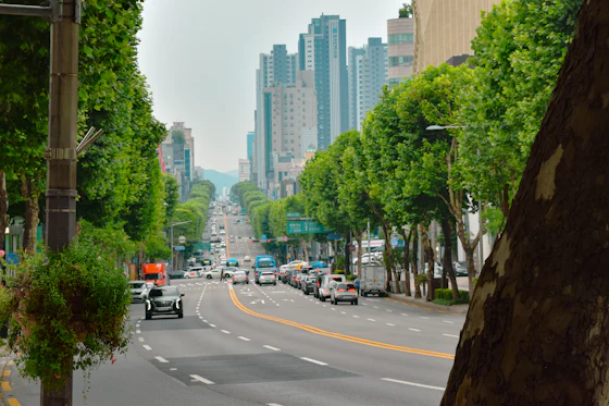 A standard Korean lease contract signing context — city buildings