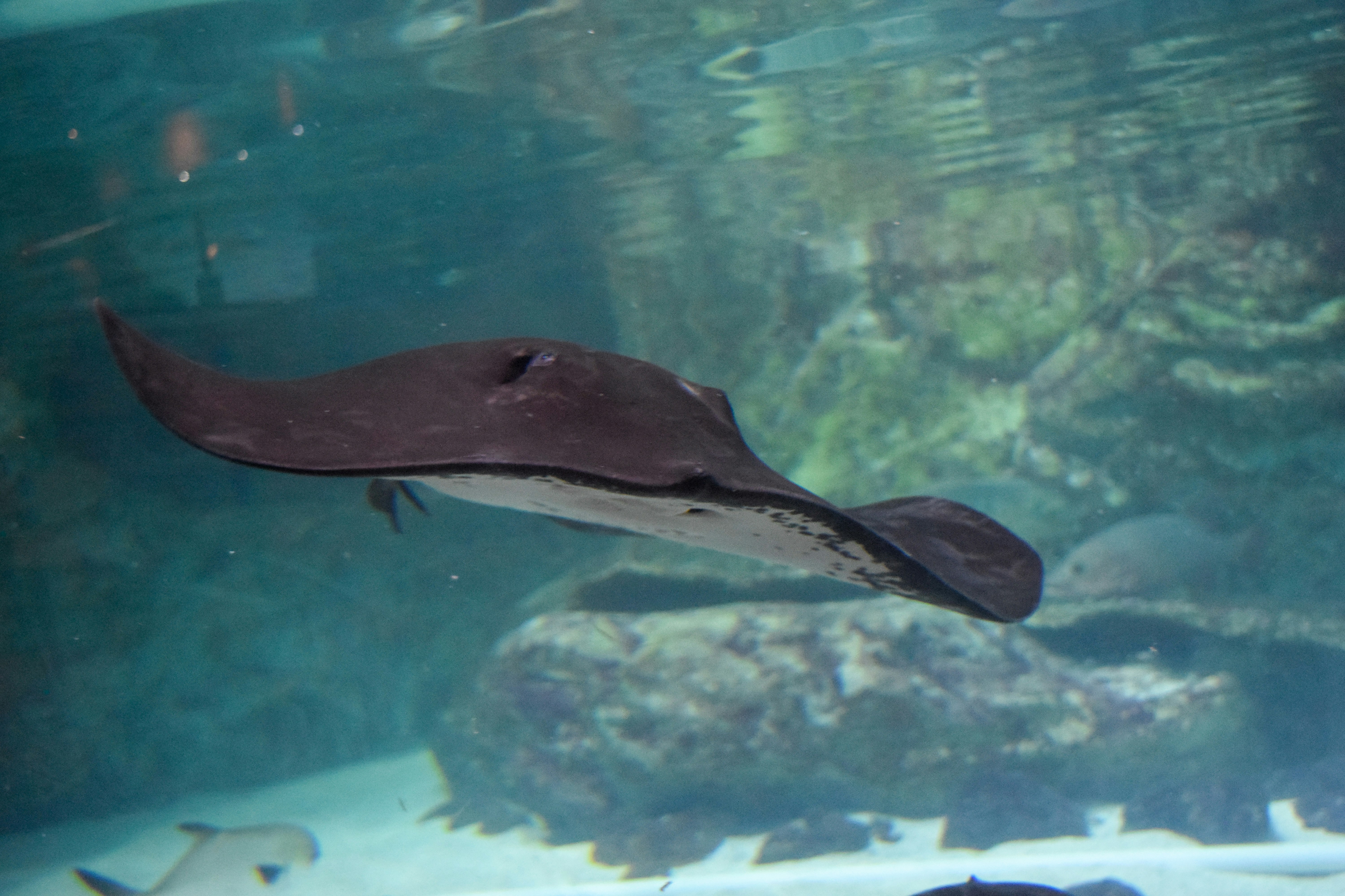 Photo by quillofspirit