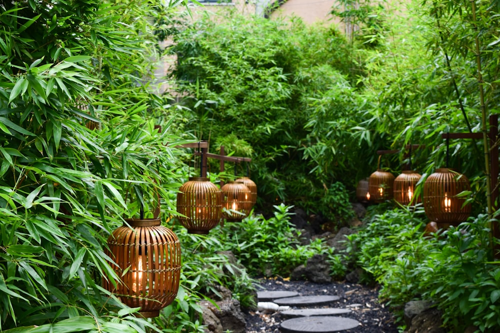 a garden with plants and pots