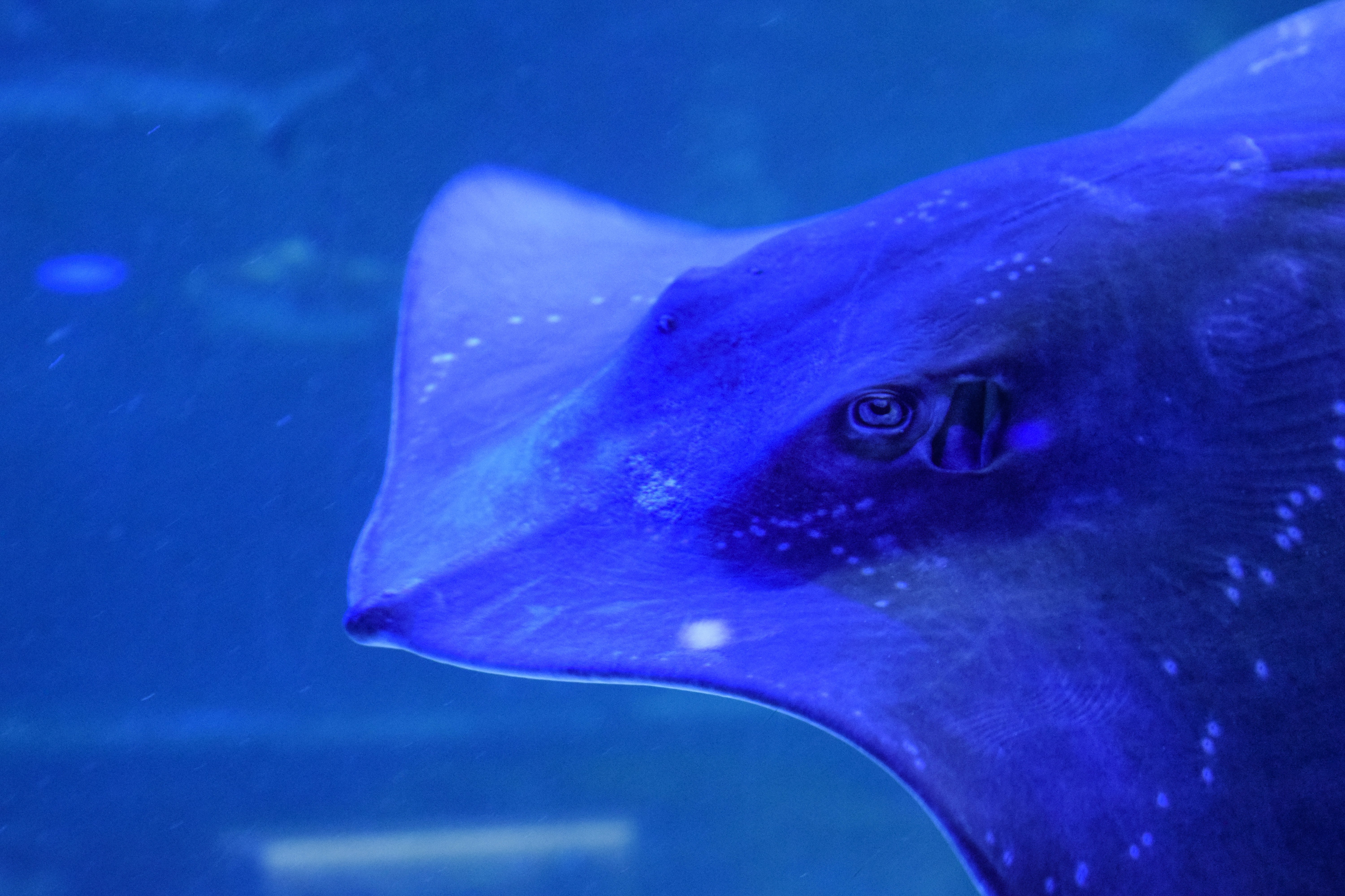 Photo by quillofspirit