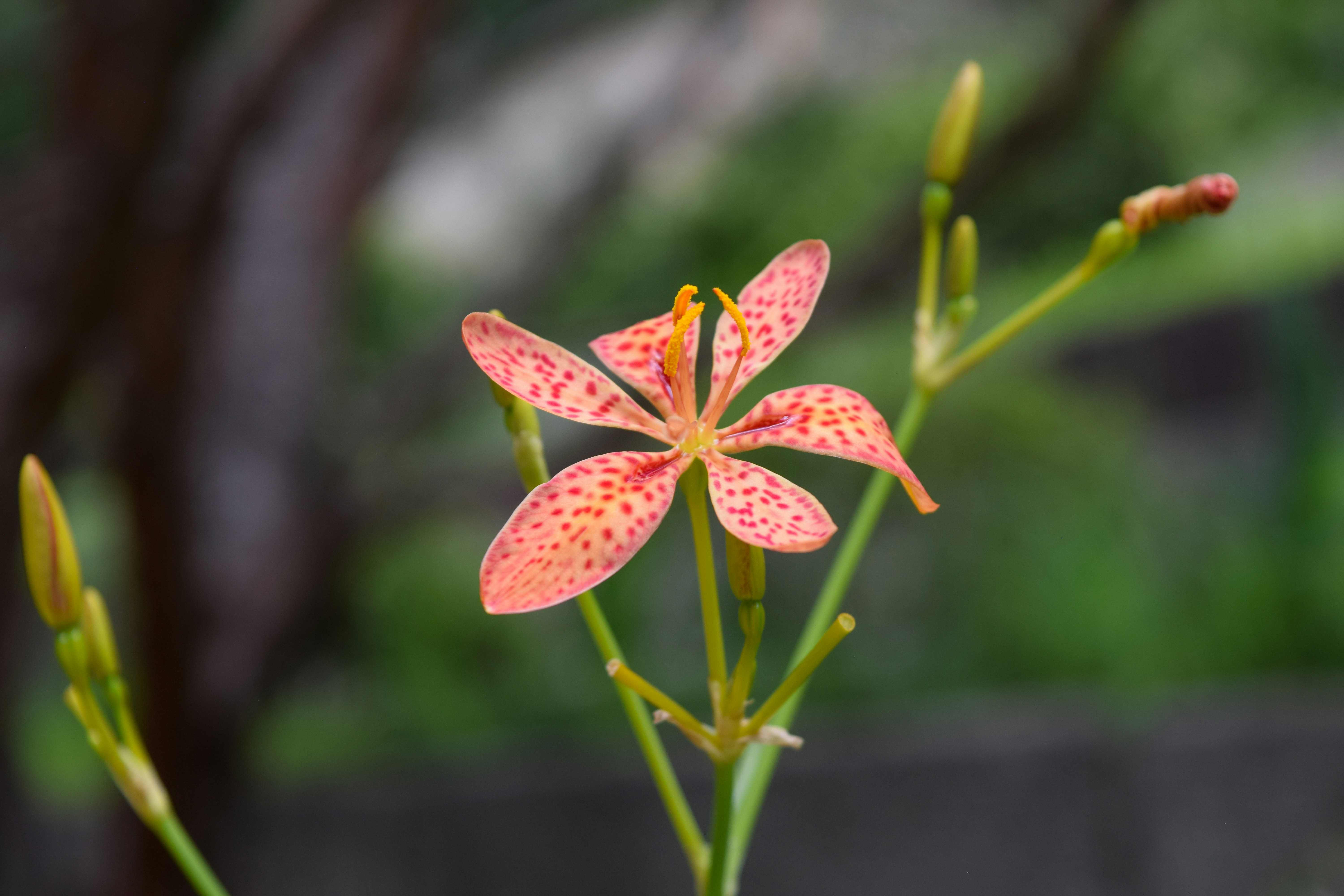 Photo by quillofspirit