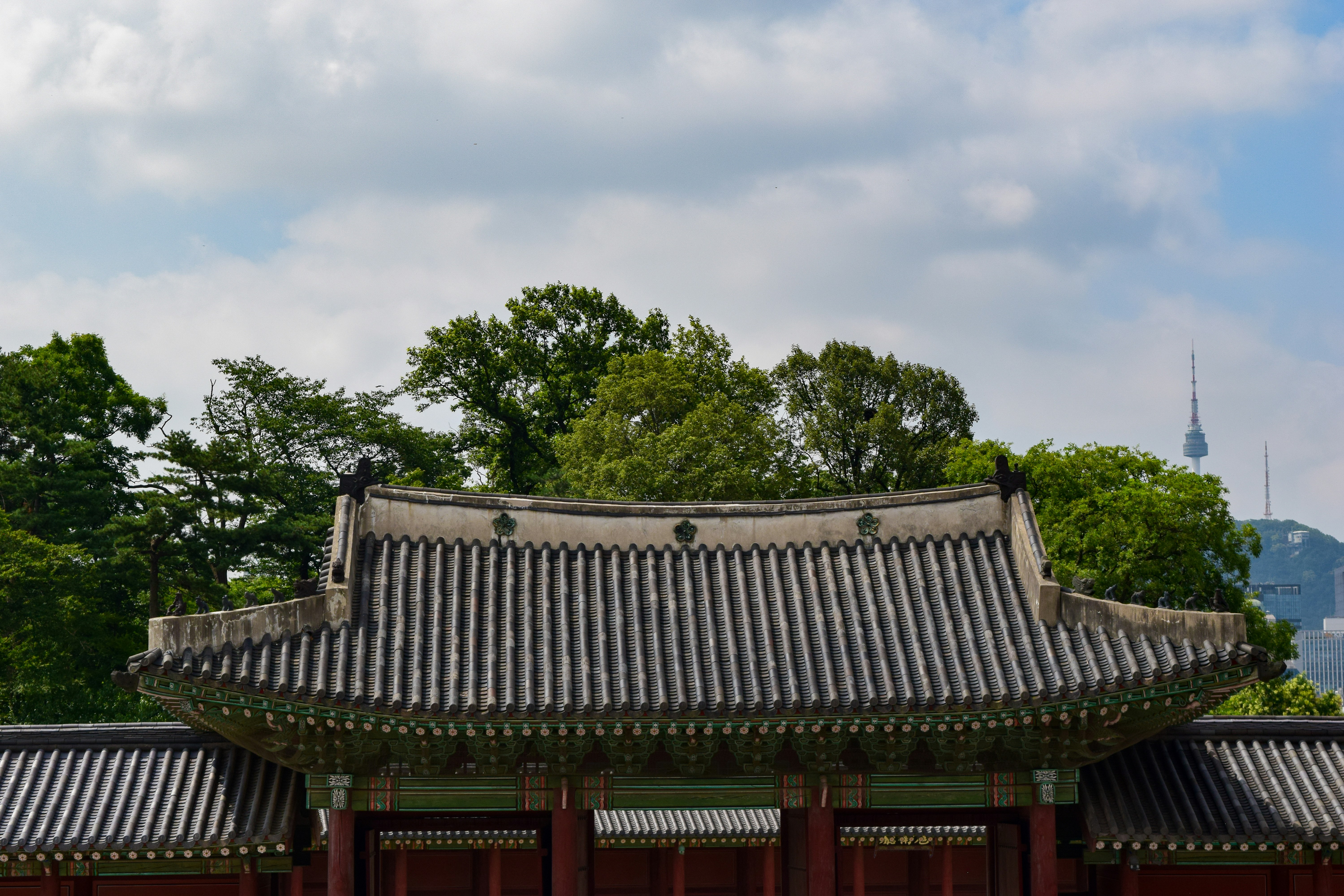 Photo by quillofspirit