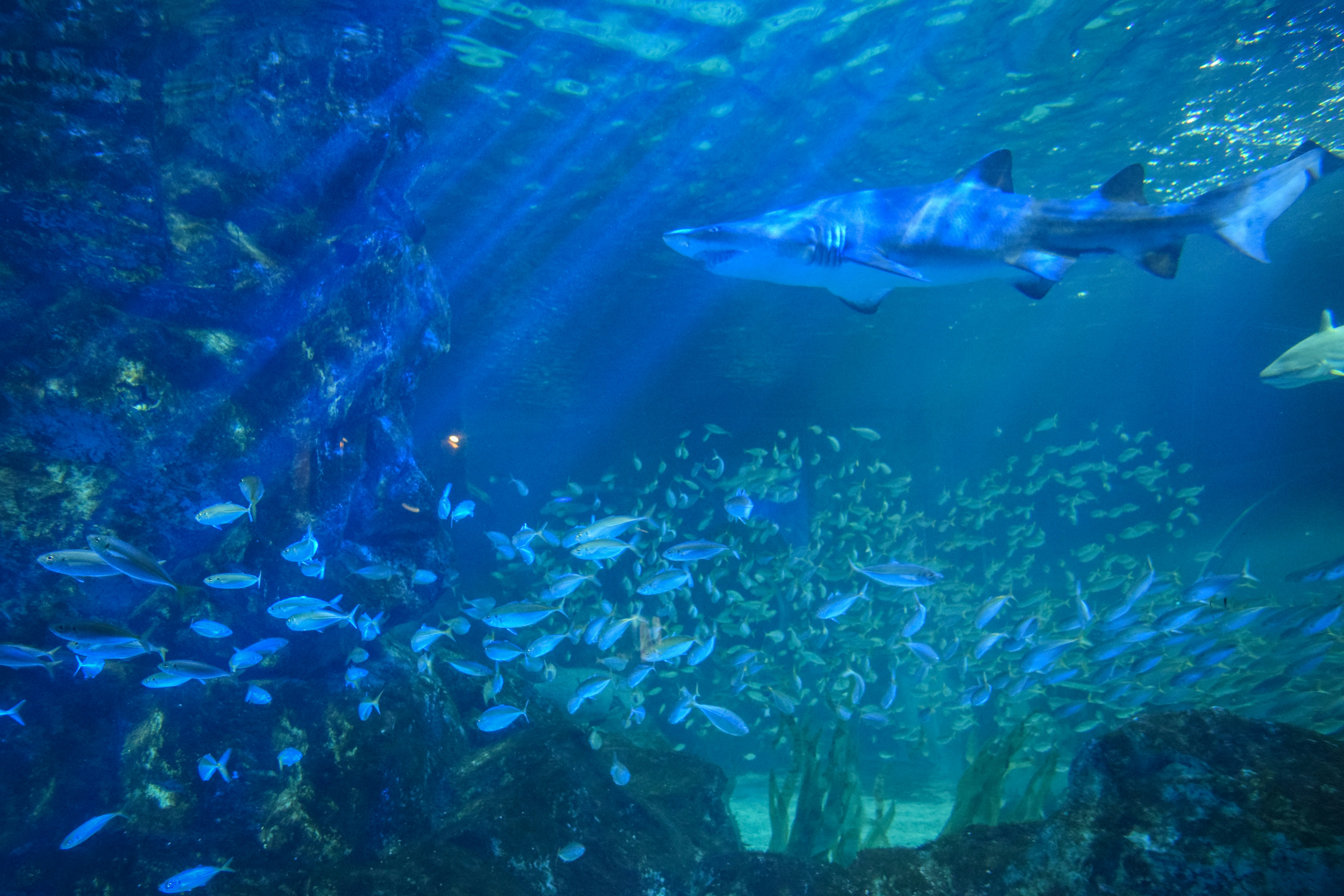 Photo by quillofspirit