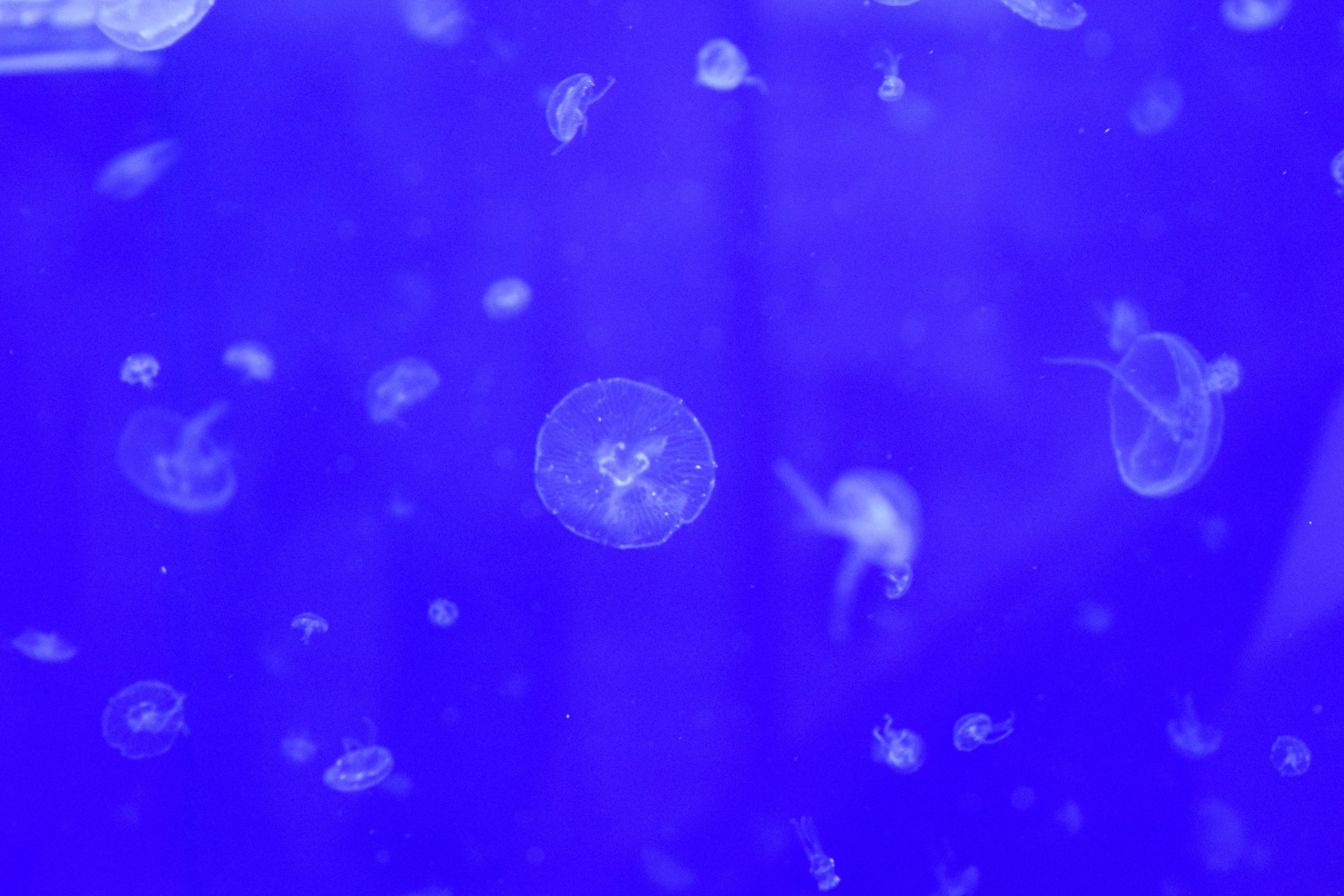 Photo by quillofspirit