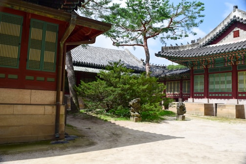 Elegant interior of the 120/100 villa with modern Korean decor