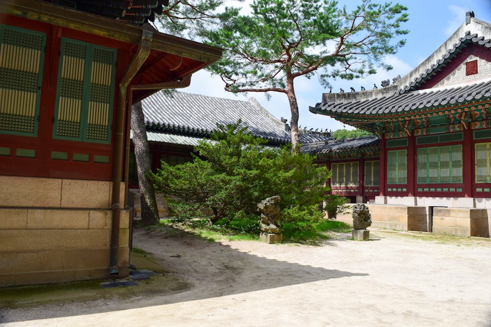 a tree in front of a building