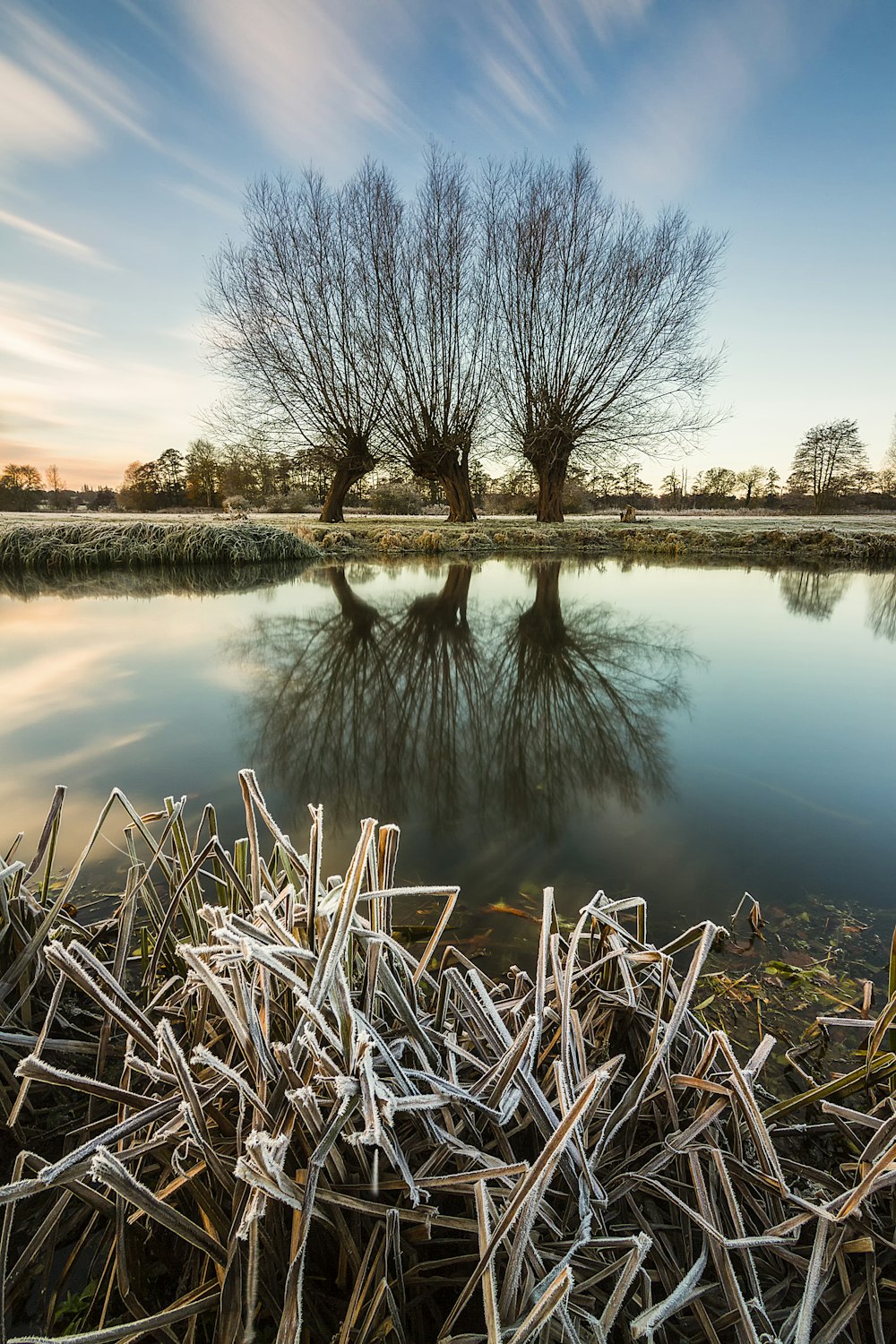 a body of water with trees around it