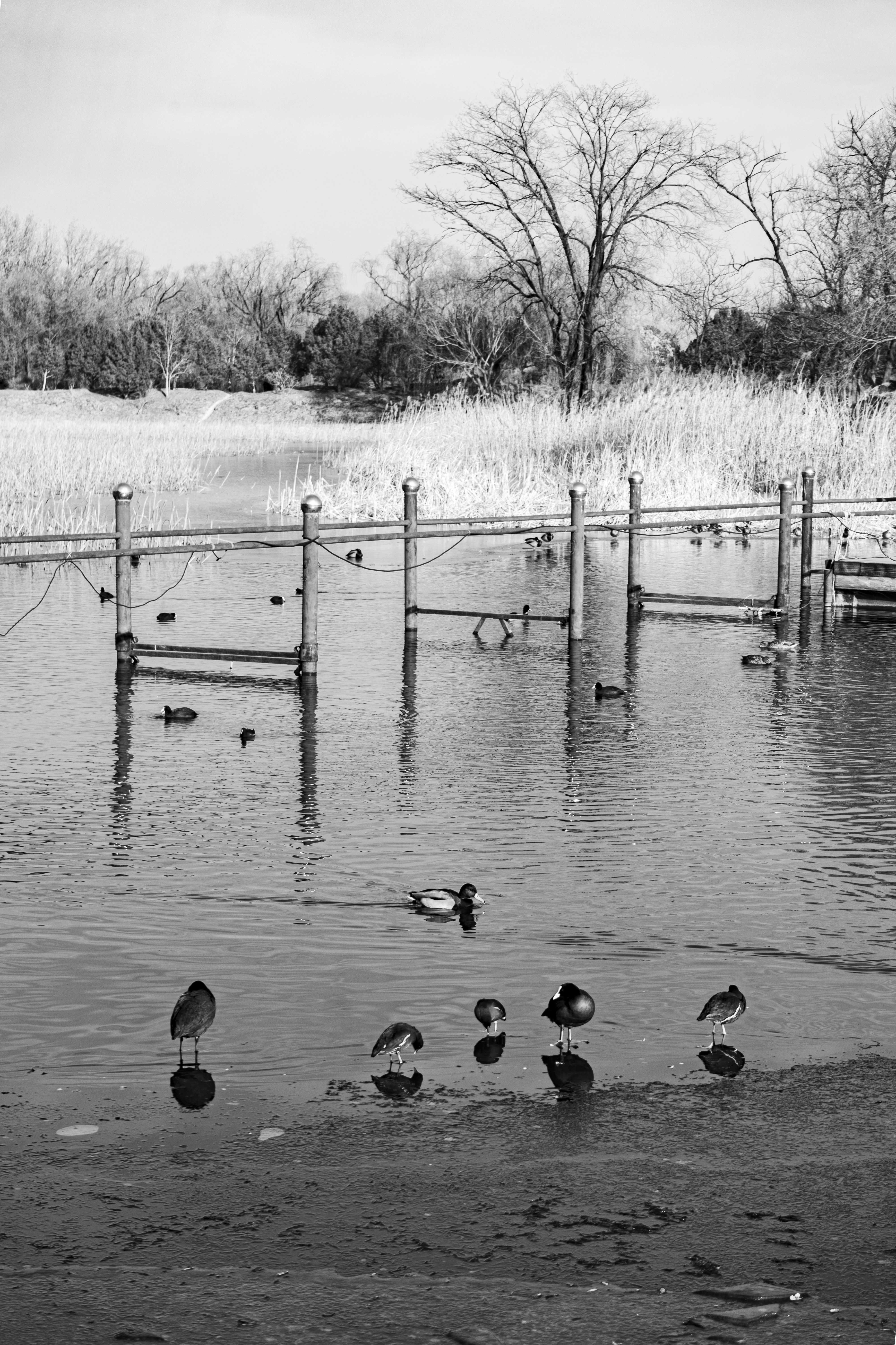 photo-1665692385452-310fe2a46b5a?ixid=M3