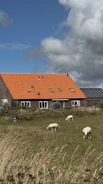 A peaceful rural scene with a building featuring a bright orange tiled roof and solar panels. In the foreground, a grassy field is dotted with several sheep grazing. The sky above is a mix of blue and scattered clouds.