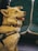 A happy dog with a light brown and white coat is sitting inside a vehicle. It has a harness on, and is seated next to padded seats with a teal and black pattern. The dog's mouth is slightly open, appearing content.