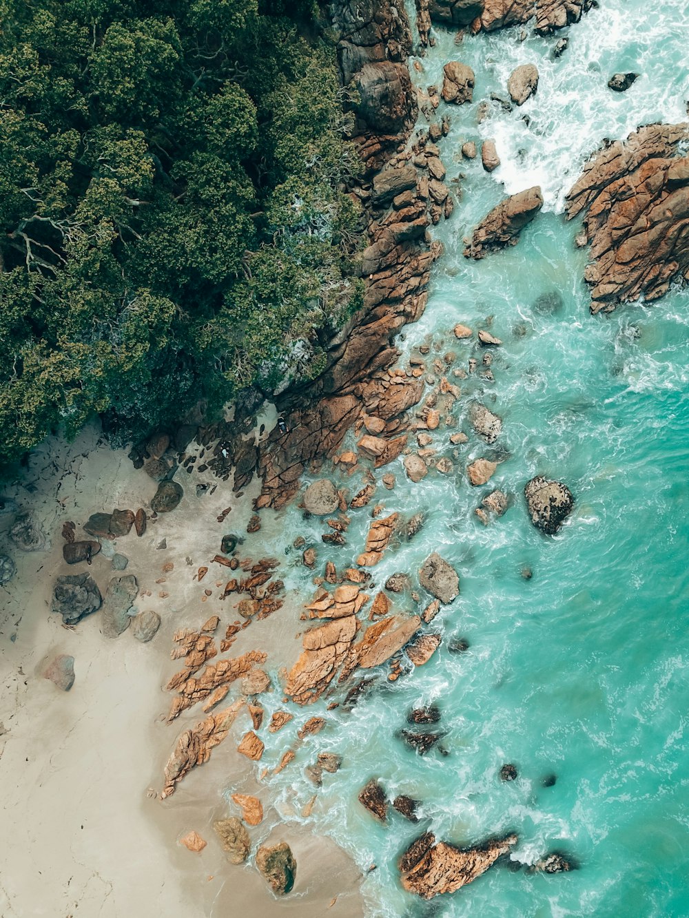 a rocky beach with trees