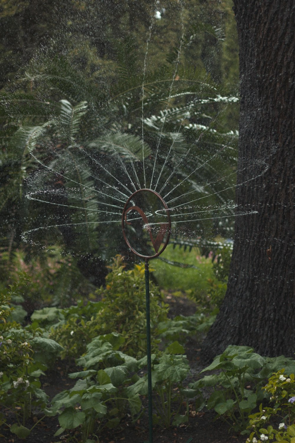 Una señal en un bosque