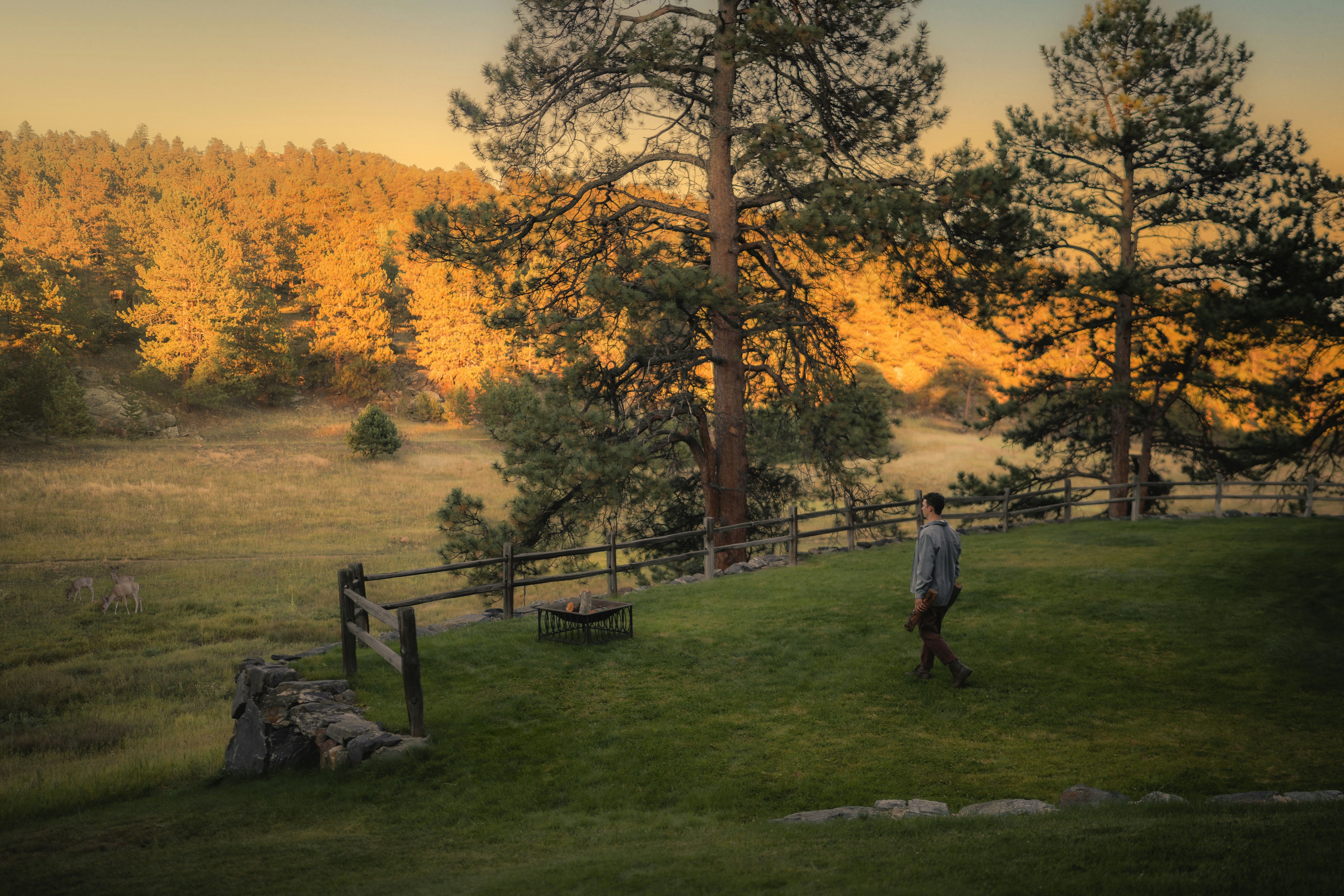 a person playing frisbee in a park, 