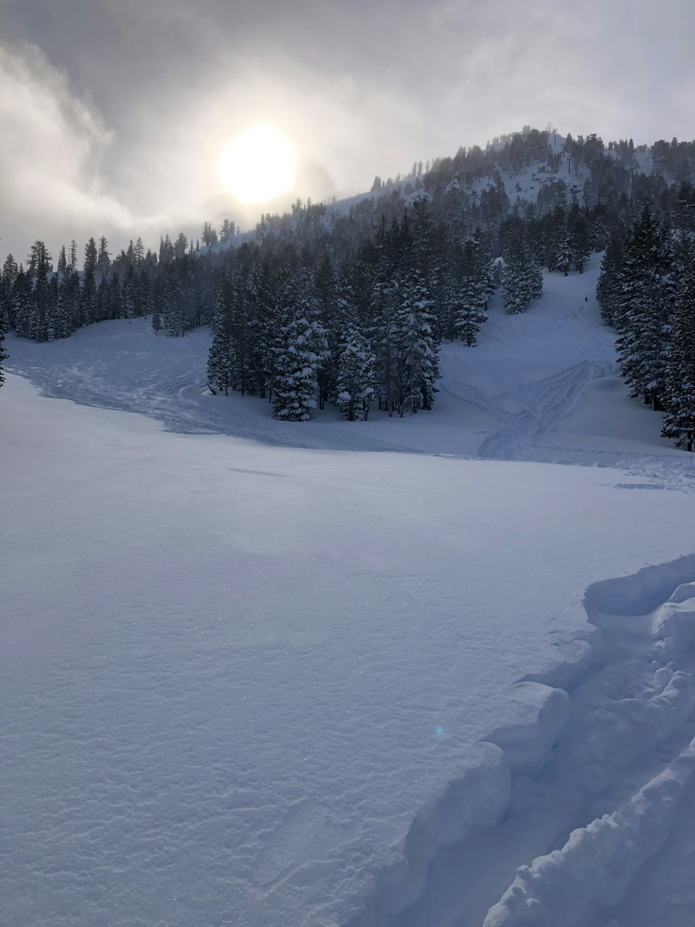 a snowy landscape with trees and the sun in the background