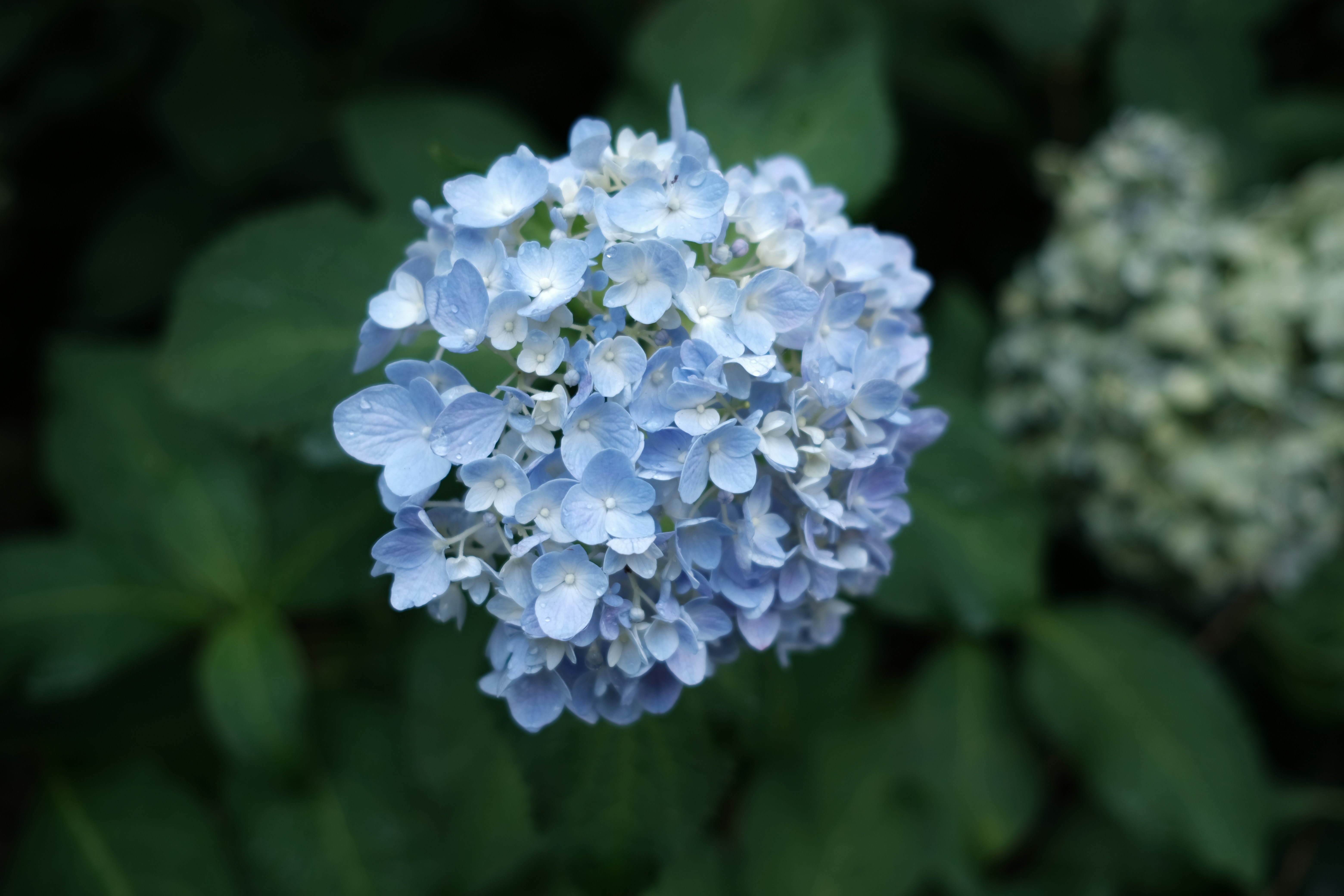 Photo by trueskywalker