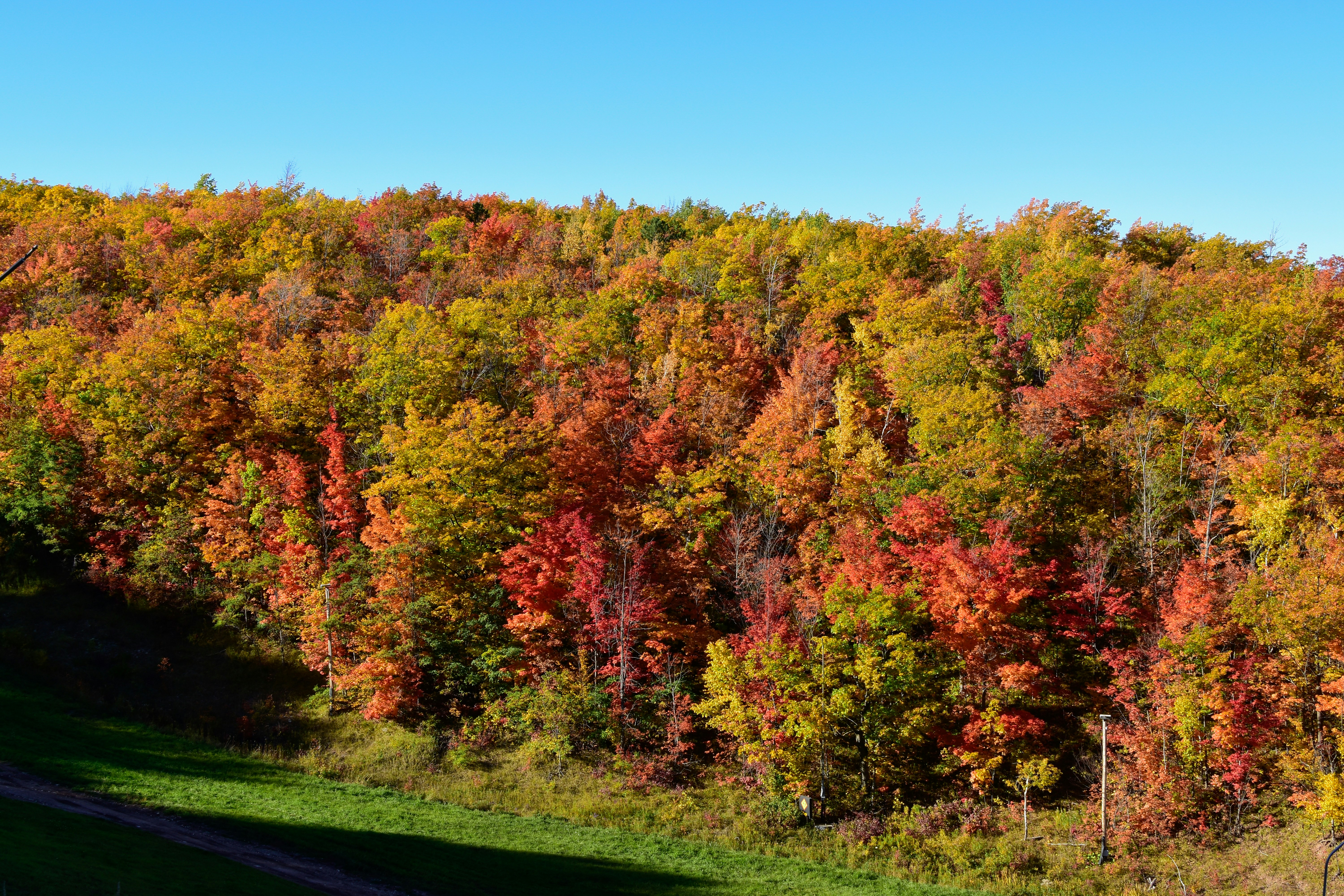 Photo by alexmarinez