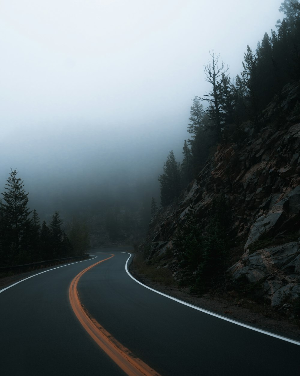 a road with trees on the side