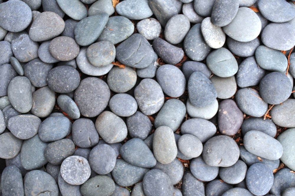 a group of rocks