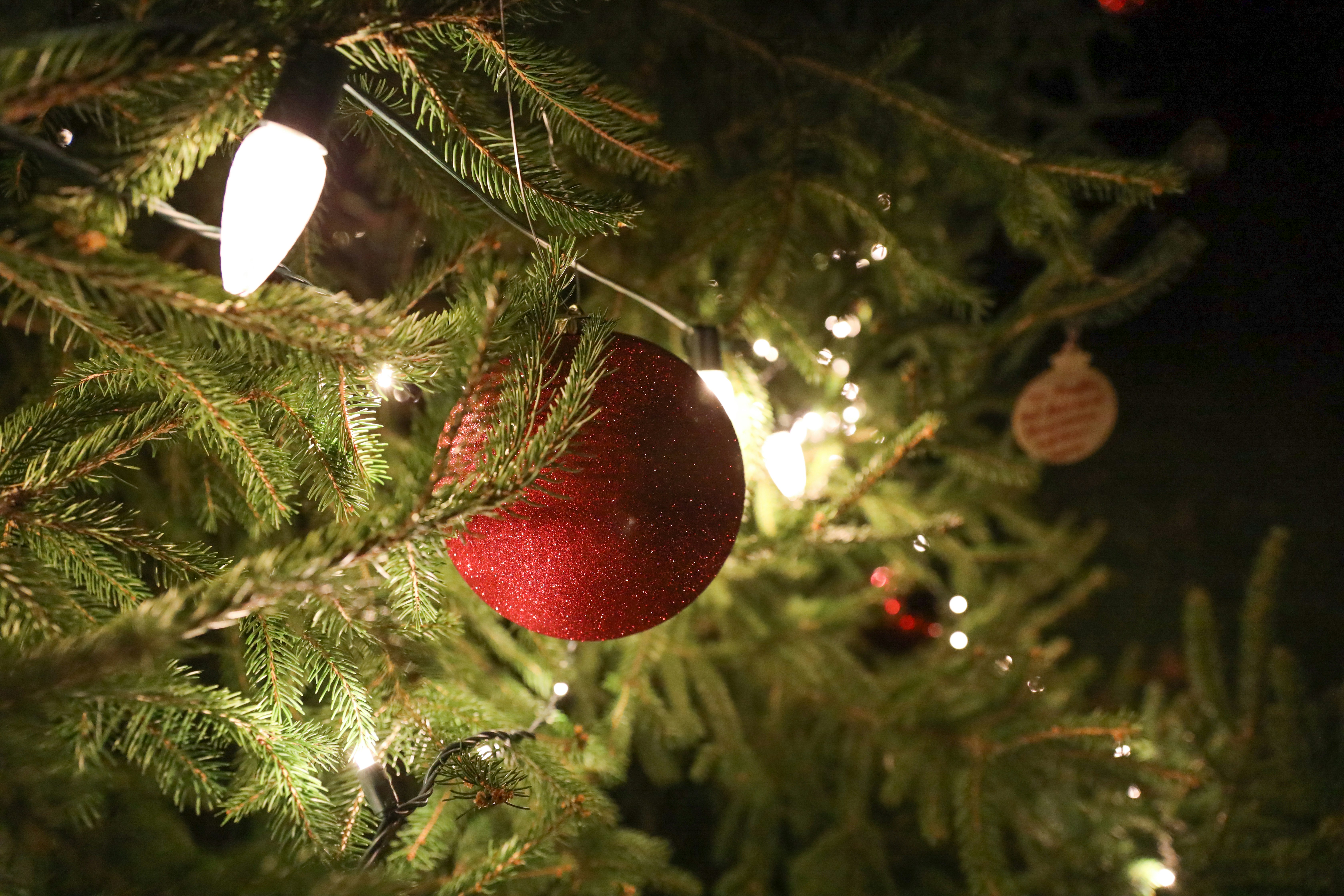 Photo by carlyhendrickson