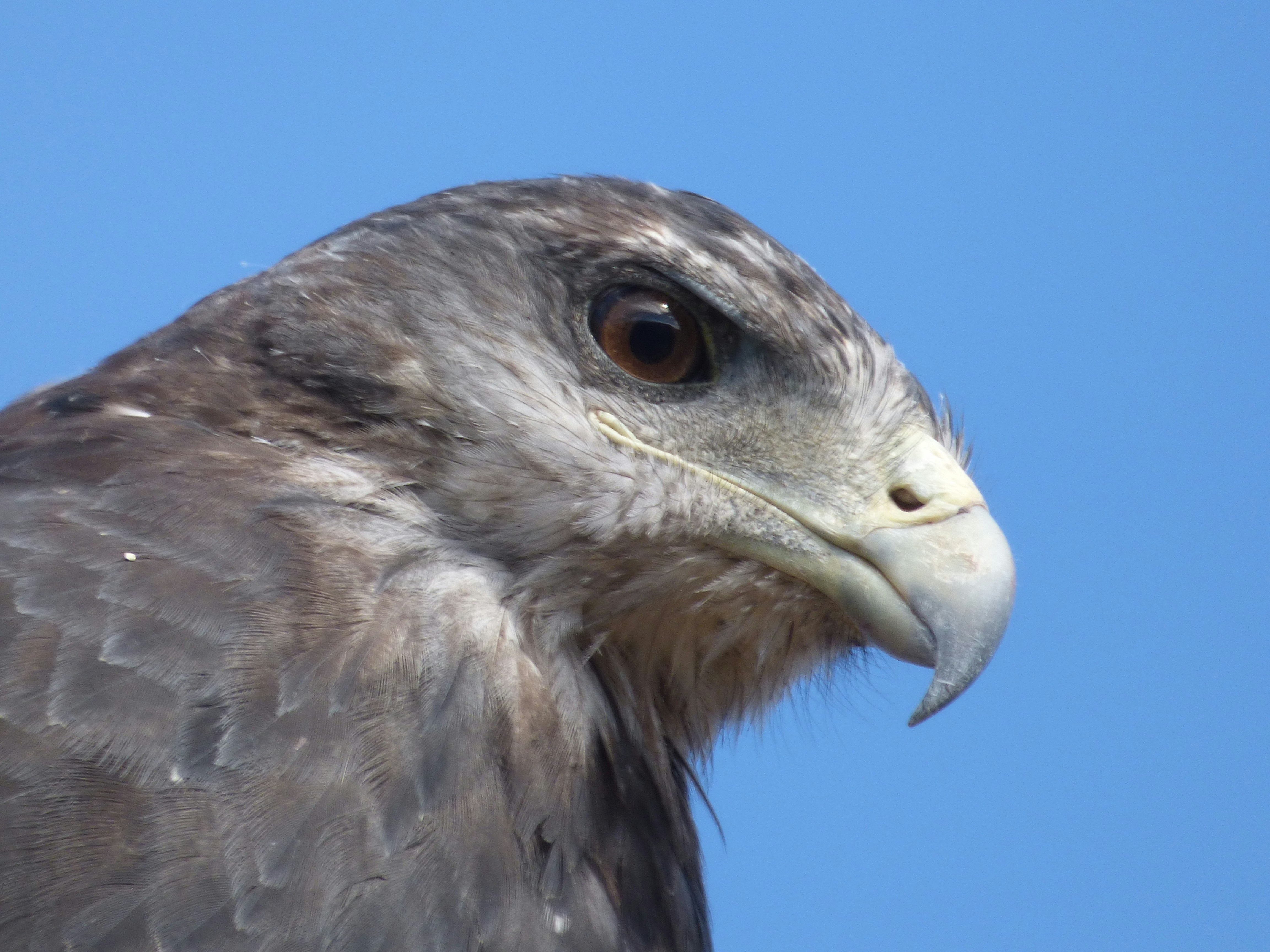 Photo by vergfaust67