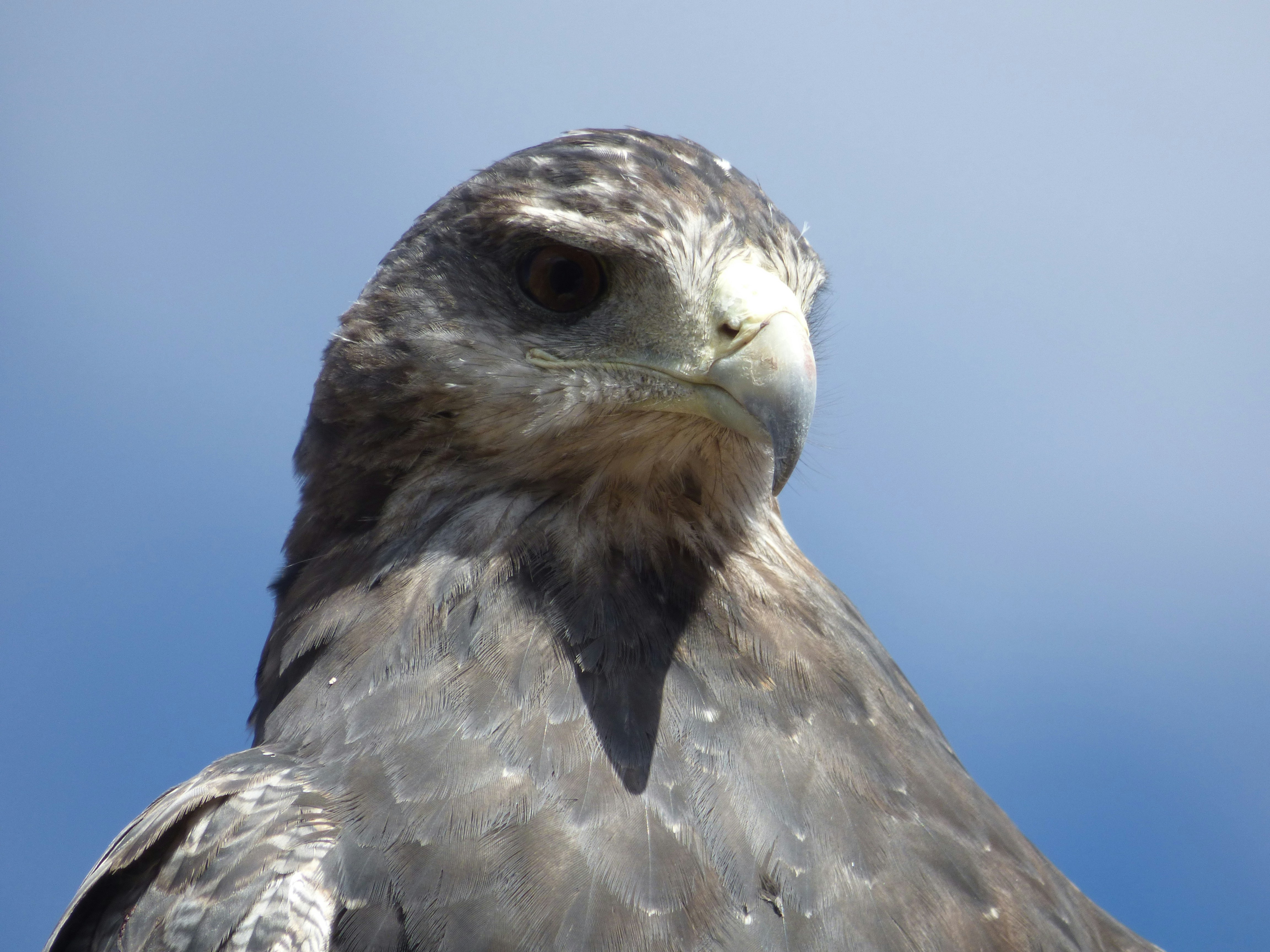 Photo by vergfaust67