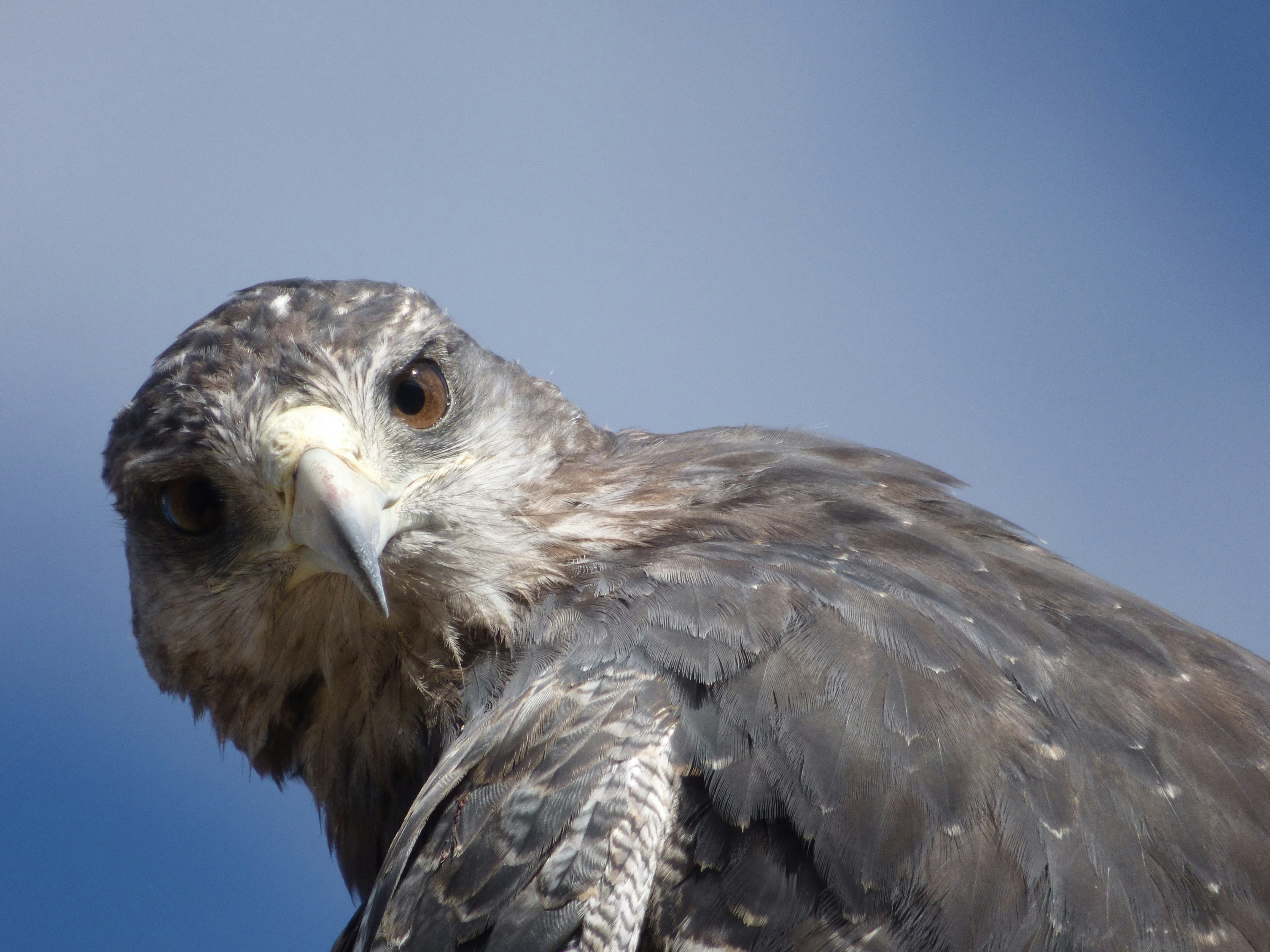 Photo by vergfaust67