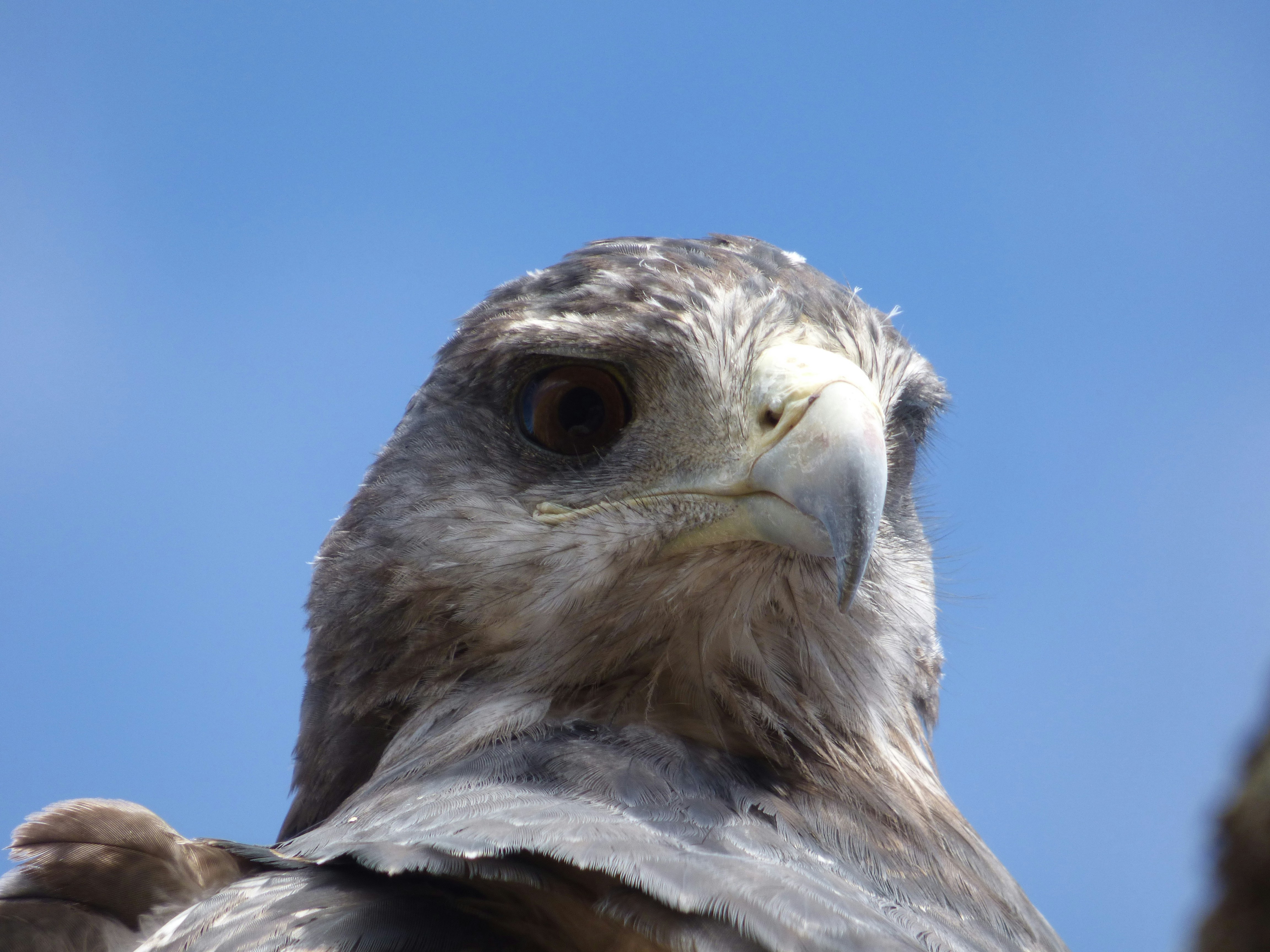 Photo by vergfaust67