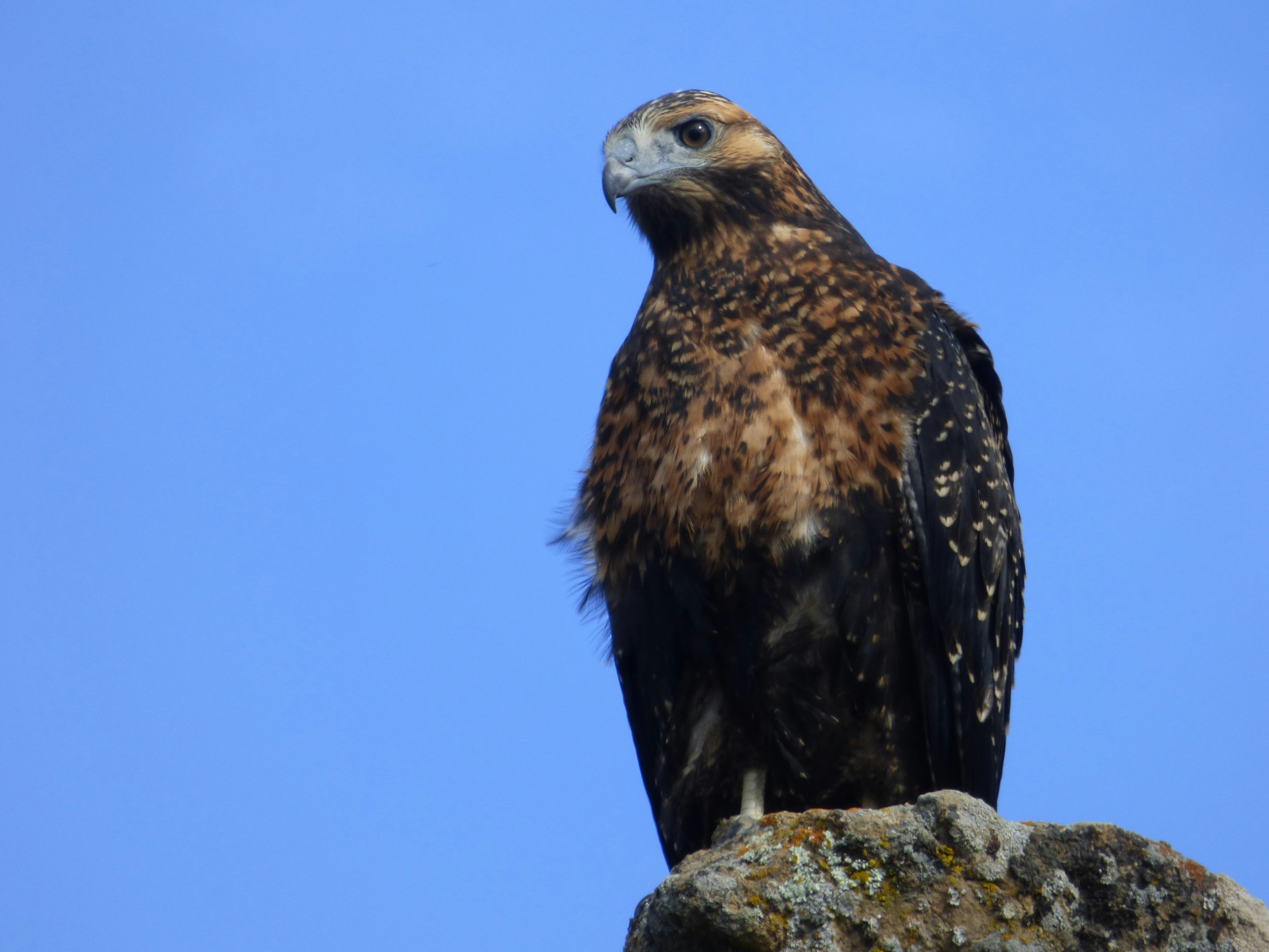 Photo by vergfaust67