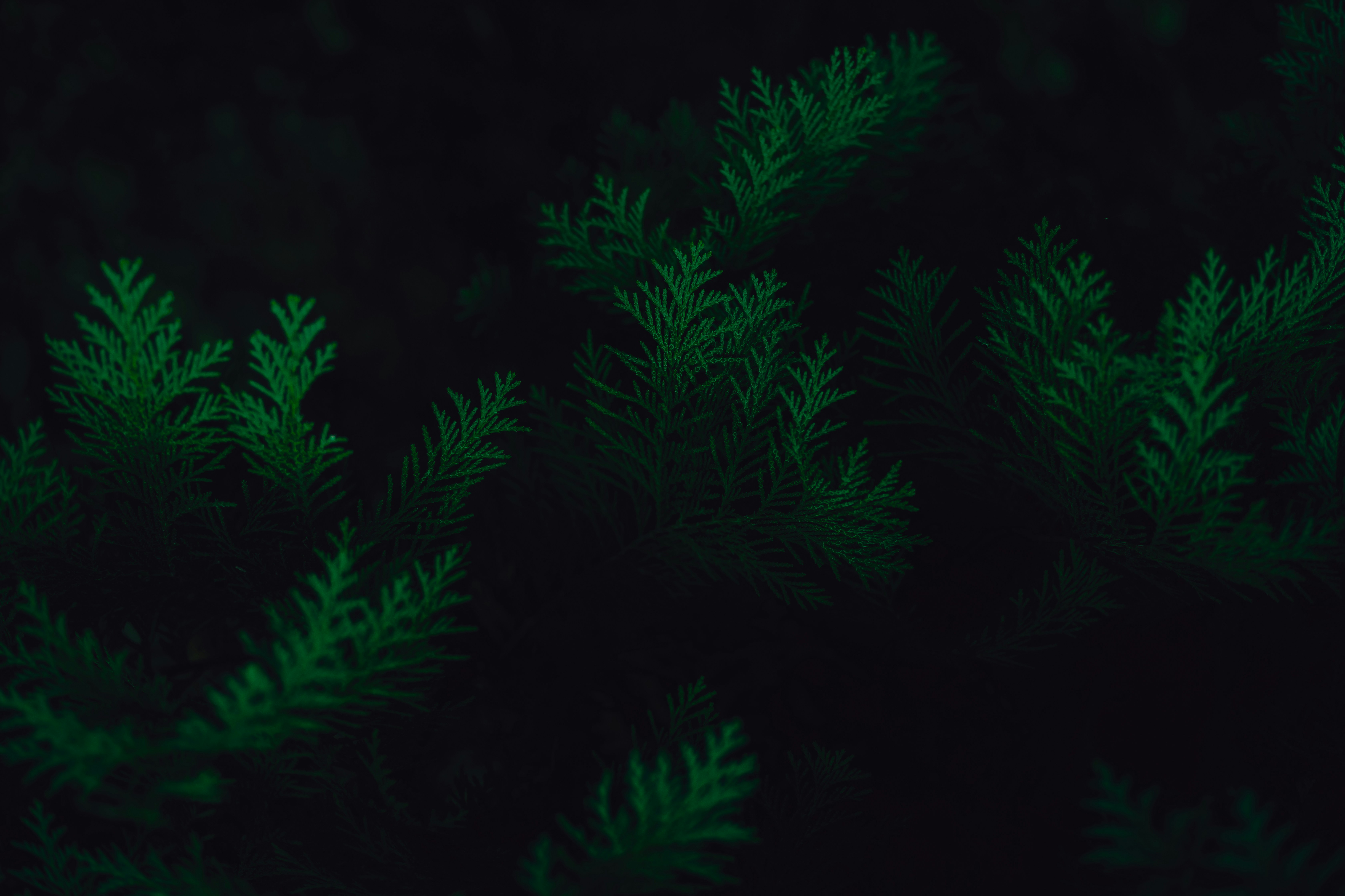 desctiption for item 10